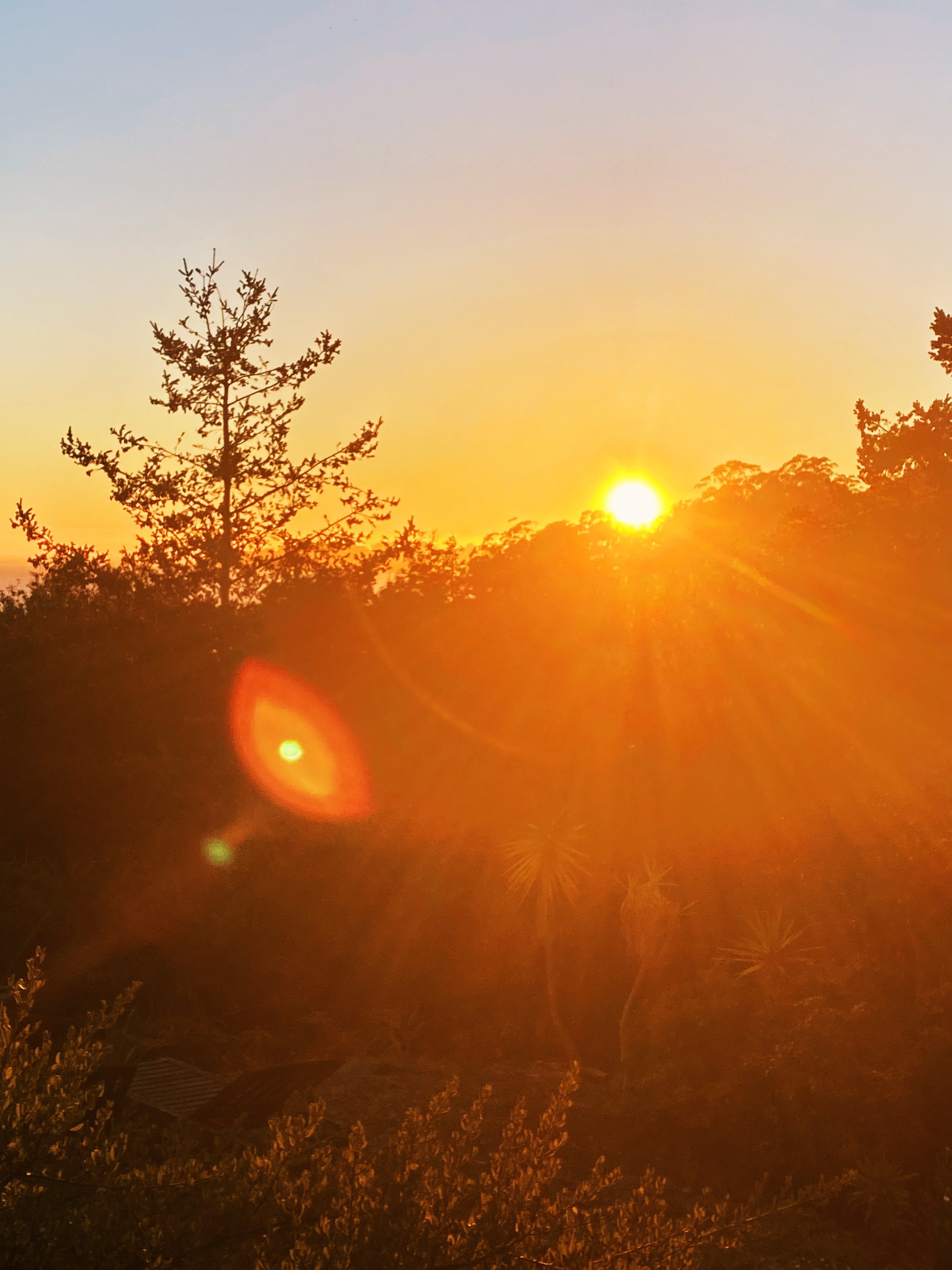 the-coast-ridge-sunset.JPG