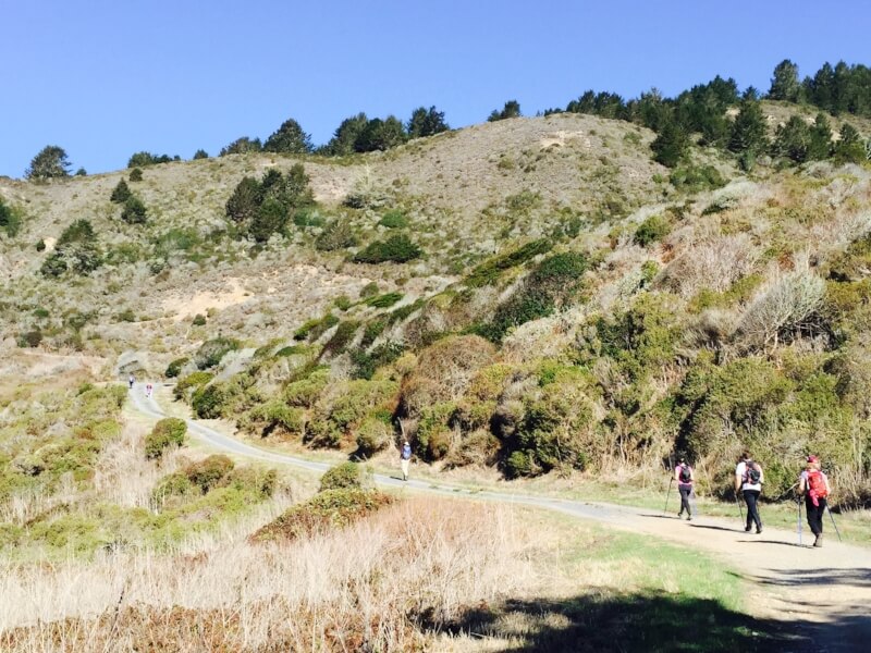 hiking.jpg