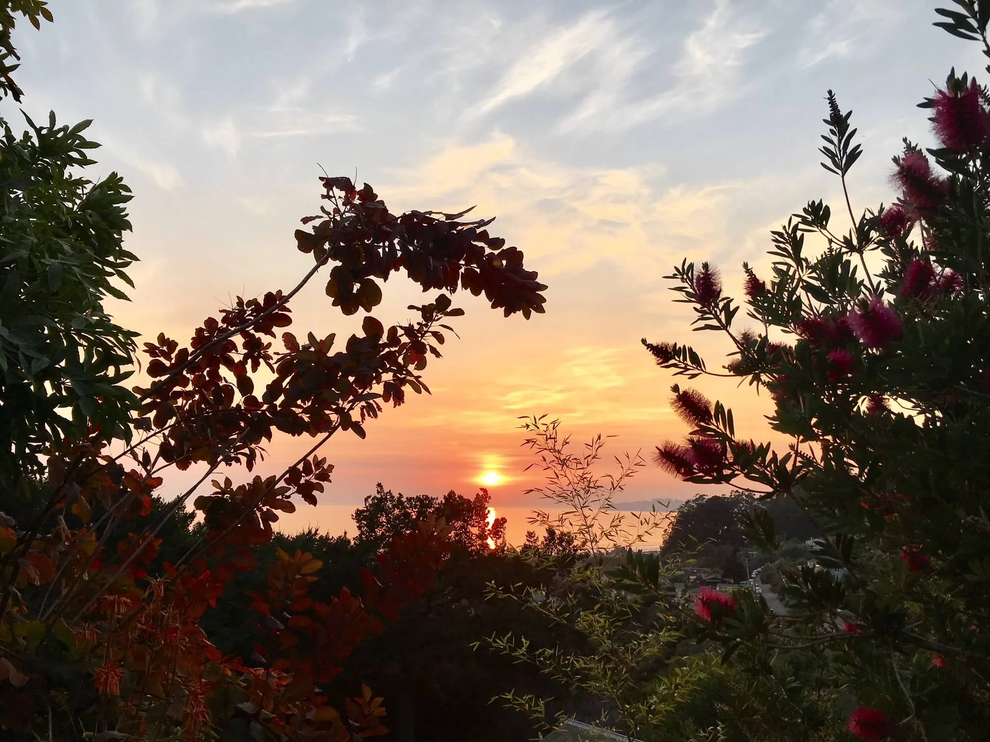 sunset.jpg