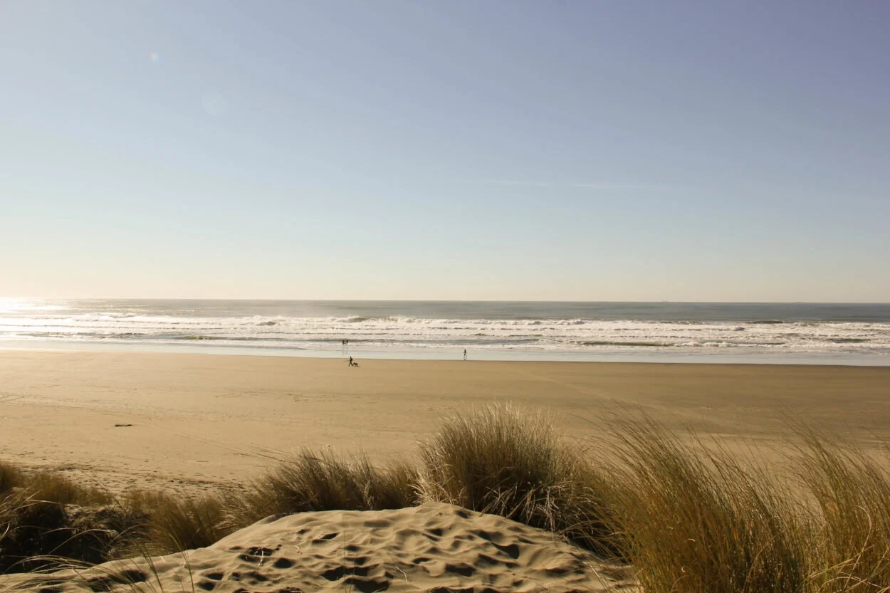 sand beach.jpg