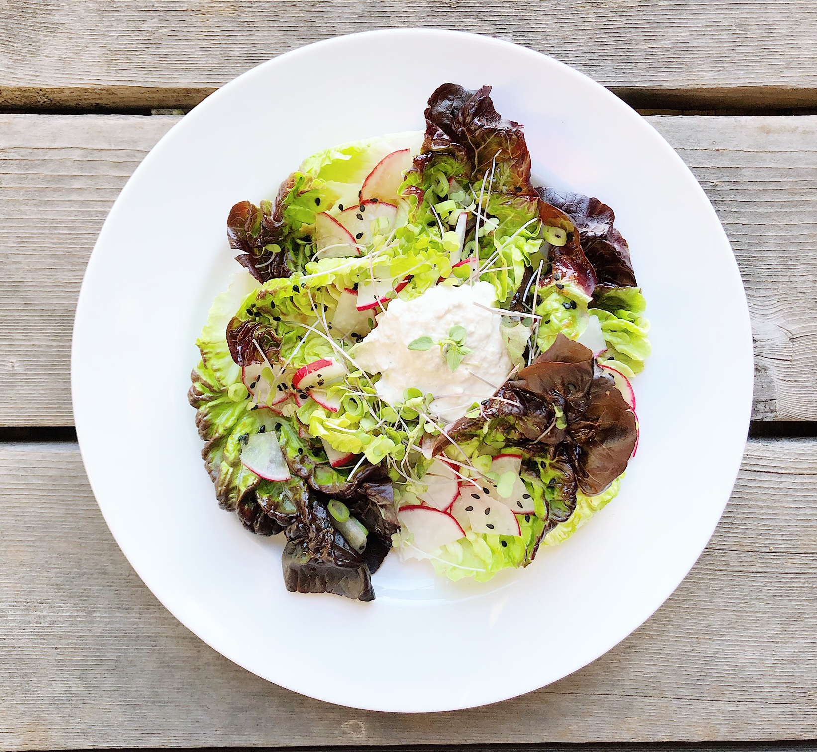 Farm Greens Salad with Cashew thyme Chevre + Lemon Dill Vinaigrette
