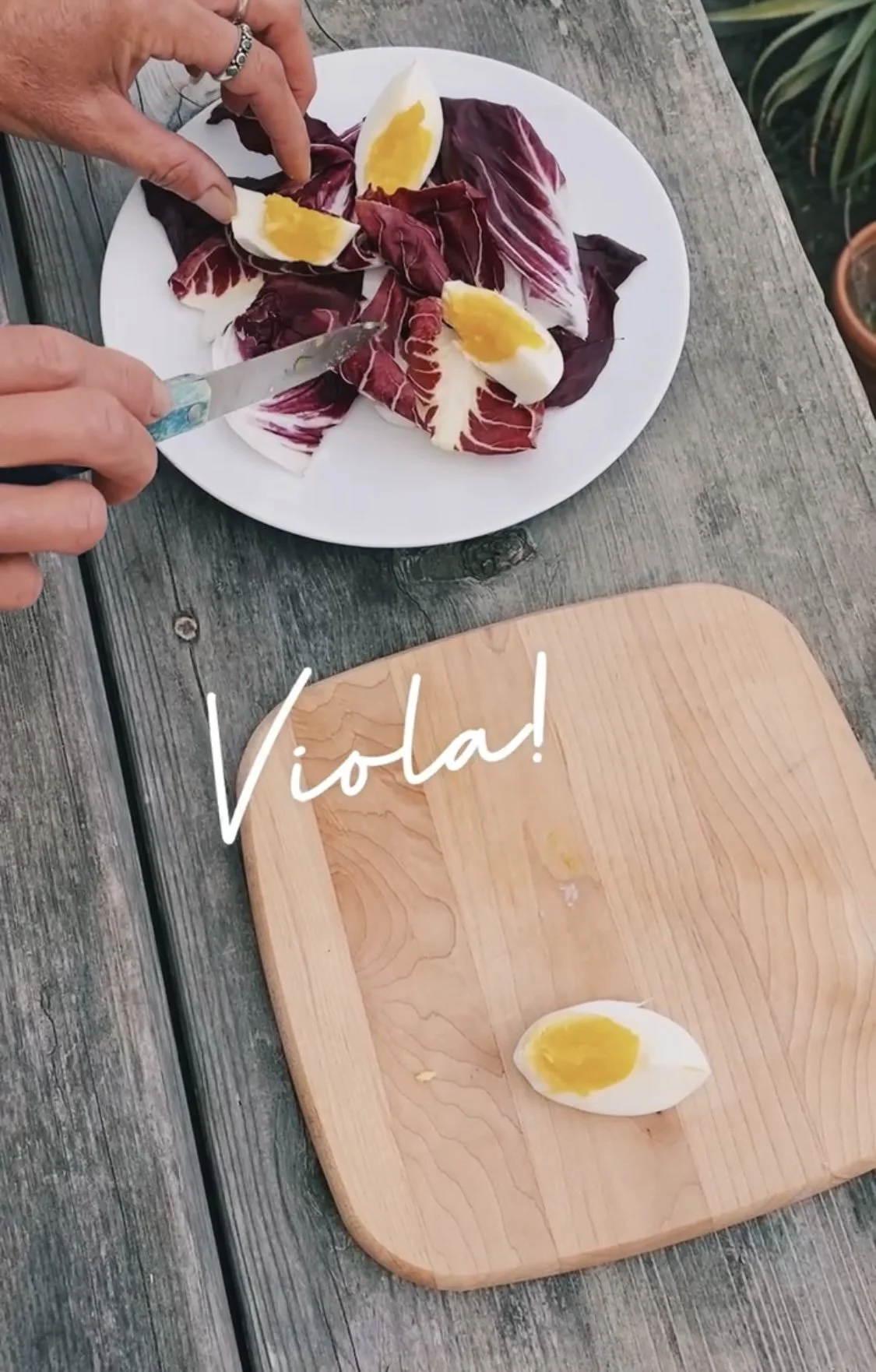 Radicchio Salad w/ Italian parsley, olives, raw sunflower seeds, EVOO + pasture raised egg