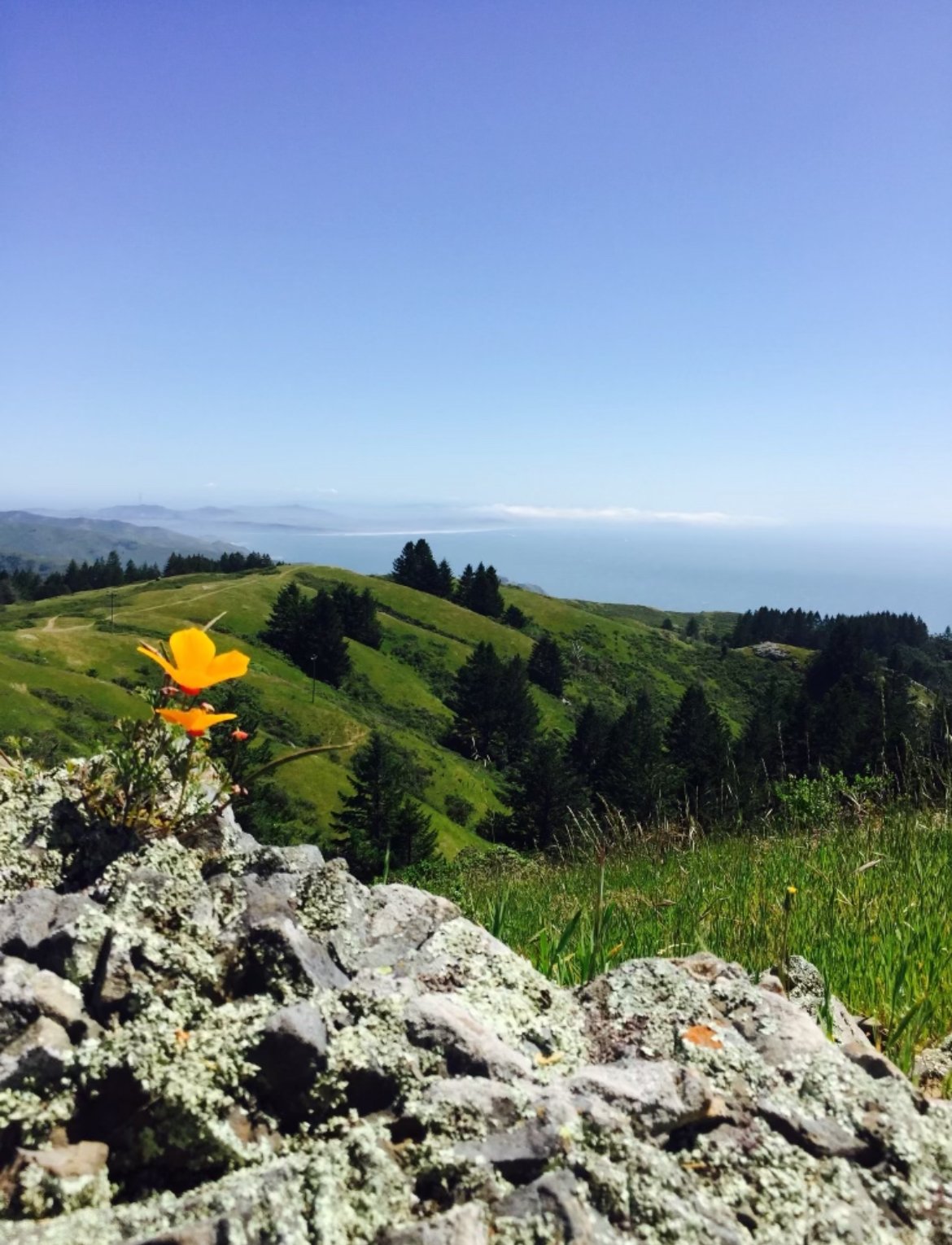 There’s a Lot of Information Out There