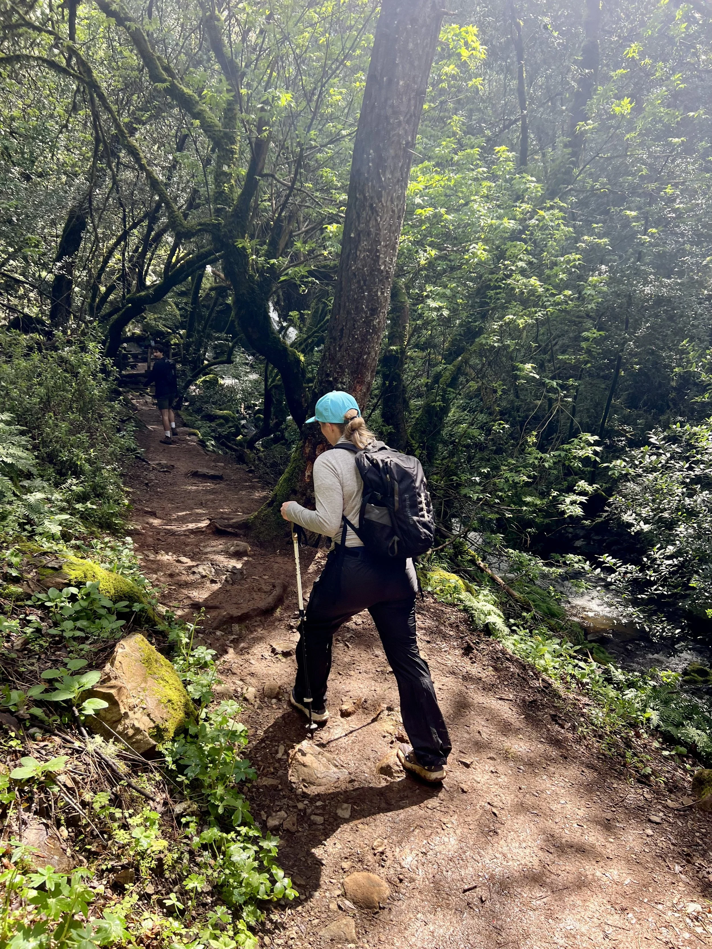 Is Nature-Based Movement Better Than the Gym?