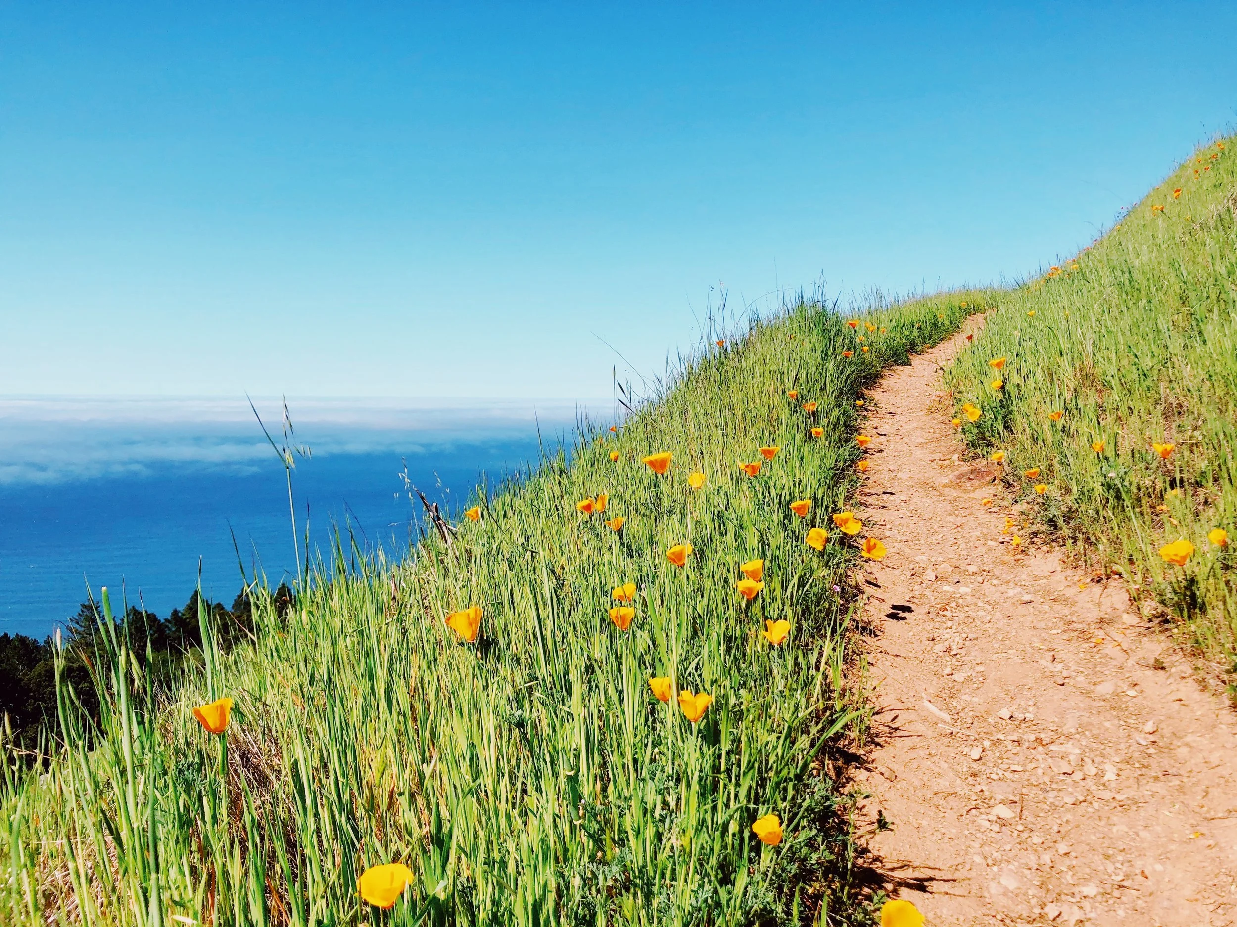 Program | The Coast Ridge