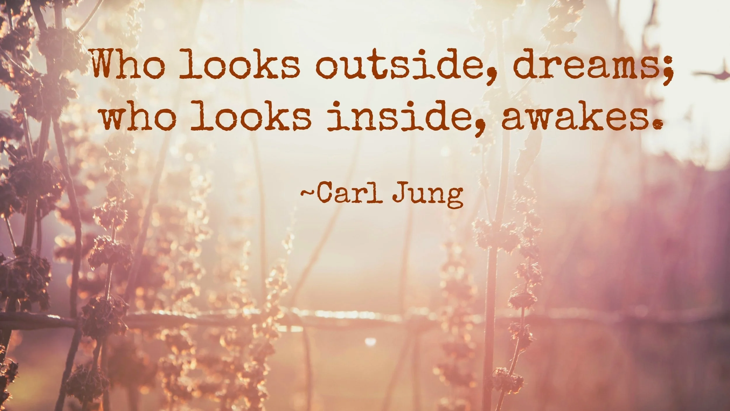 carl jung.jpg