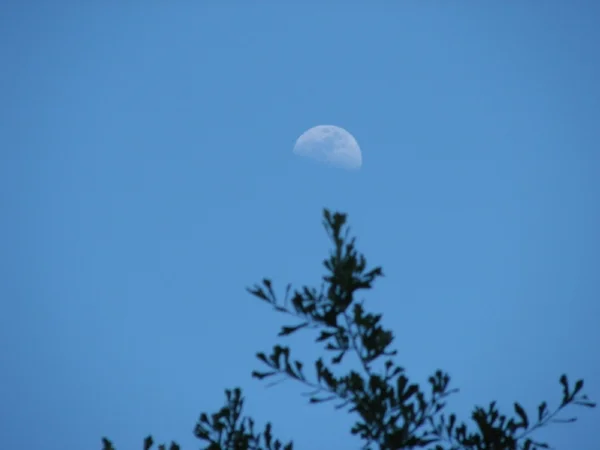daytime moon.jpg