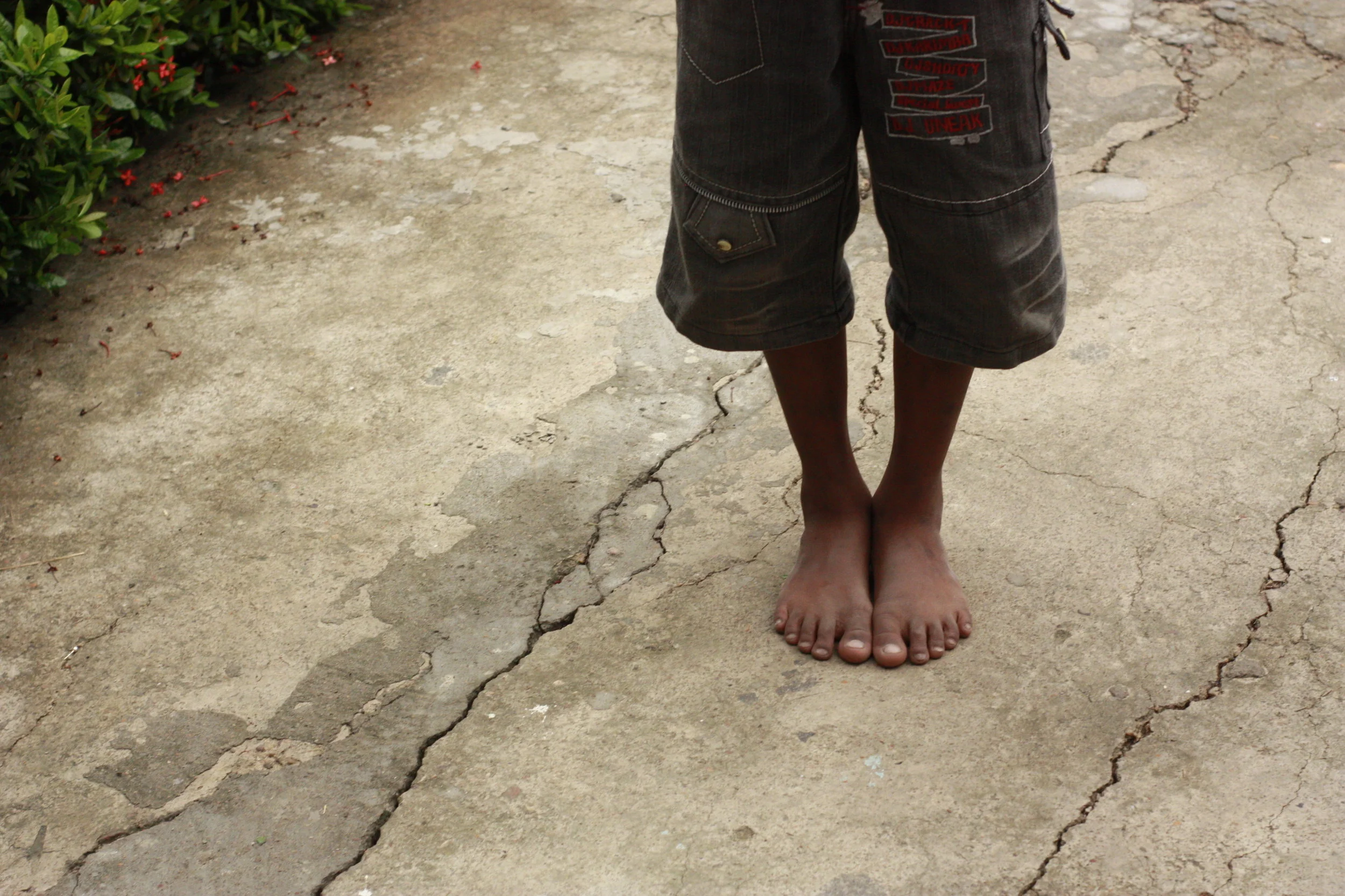 Is Illuminate India involved in adoption in India?