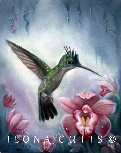 greencolibri2 copy.jpg