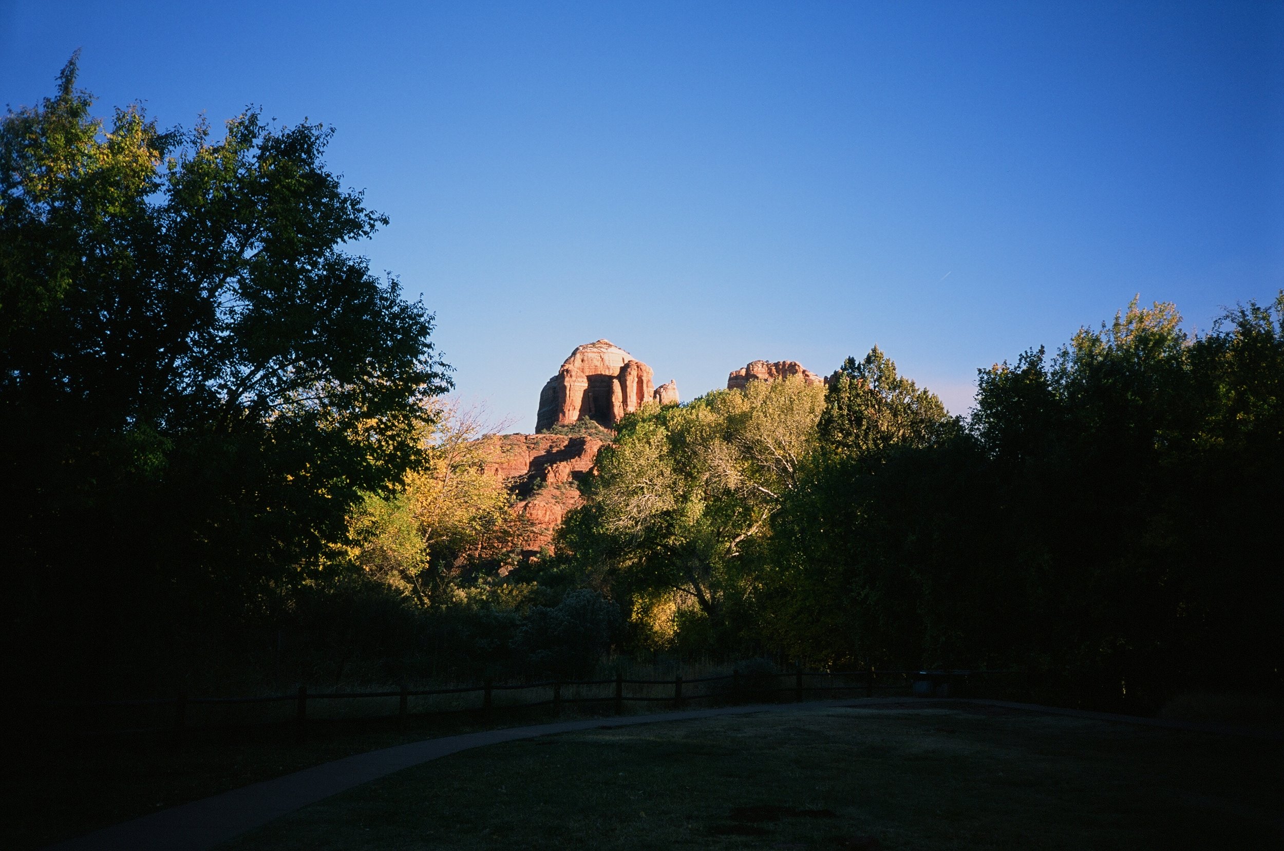 Sedona late afternoon in the park. Yashica T4.