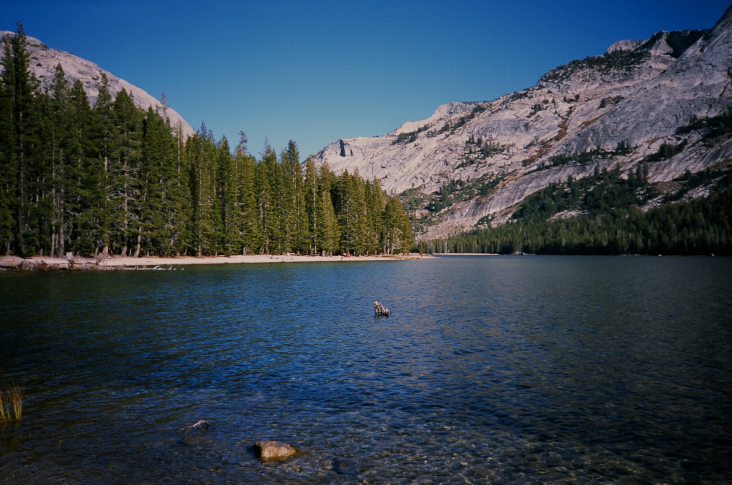 Tanaya Lake...late afternoon. Yashica T4.
