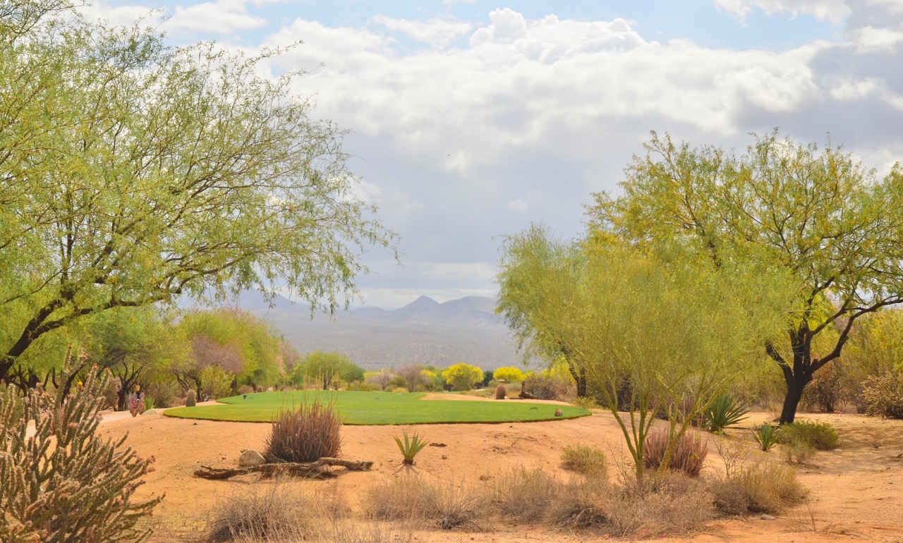 This is a picture of one of the tees on the golf course with the Verde mountains in the background. I don’t play golf (yet), but the course is so beautiful, I might have to take it up after my back surgery.