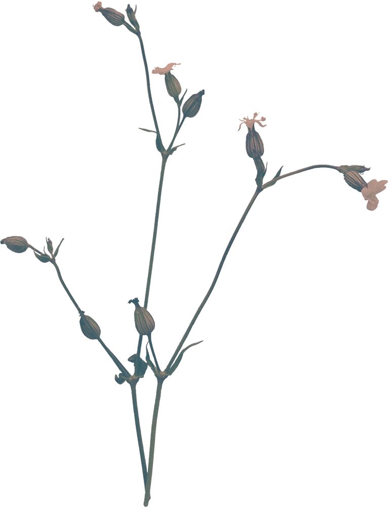 test-2.png