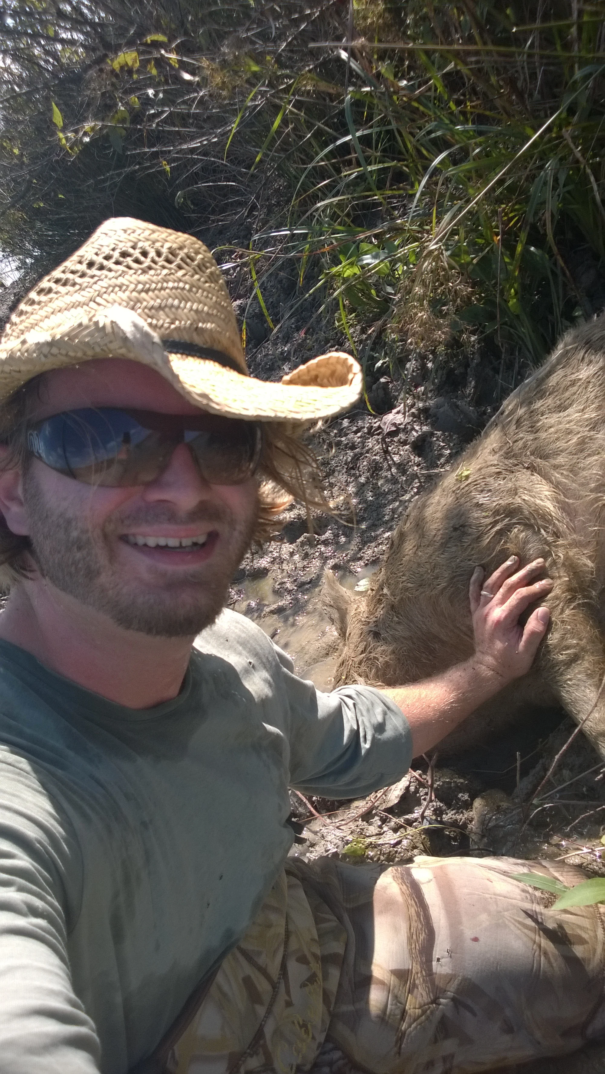 Nuisance wildlife - feral hog trapping and removal