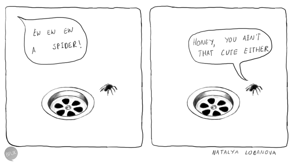 spider.png