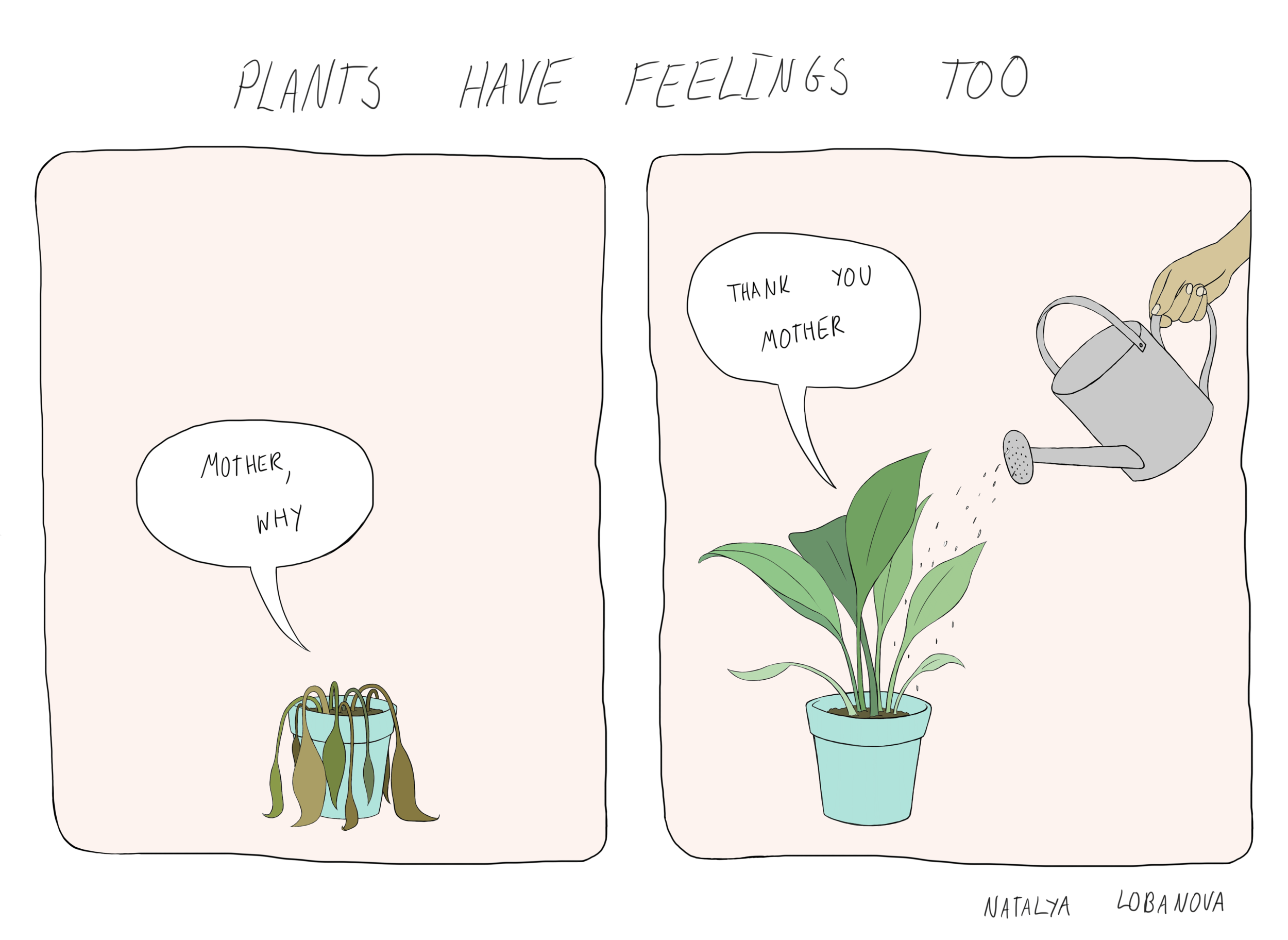 houseplant.png
