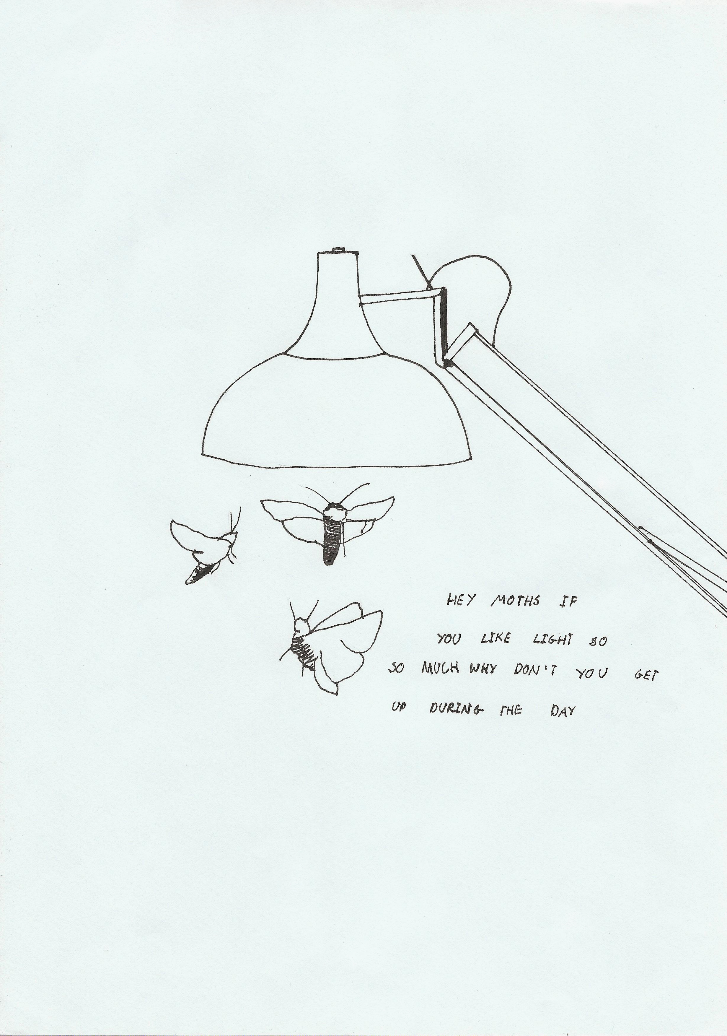 moths.jpg