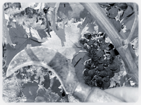 a853dd81-d360-4fab-9bdb-b69b9e3e1839.png