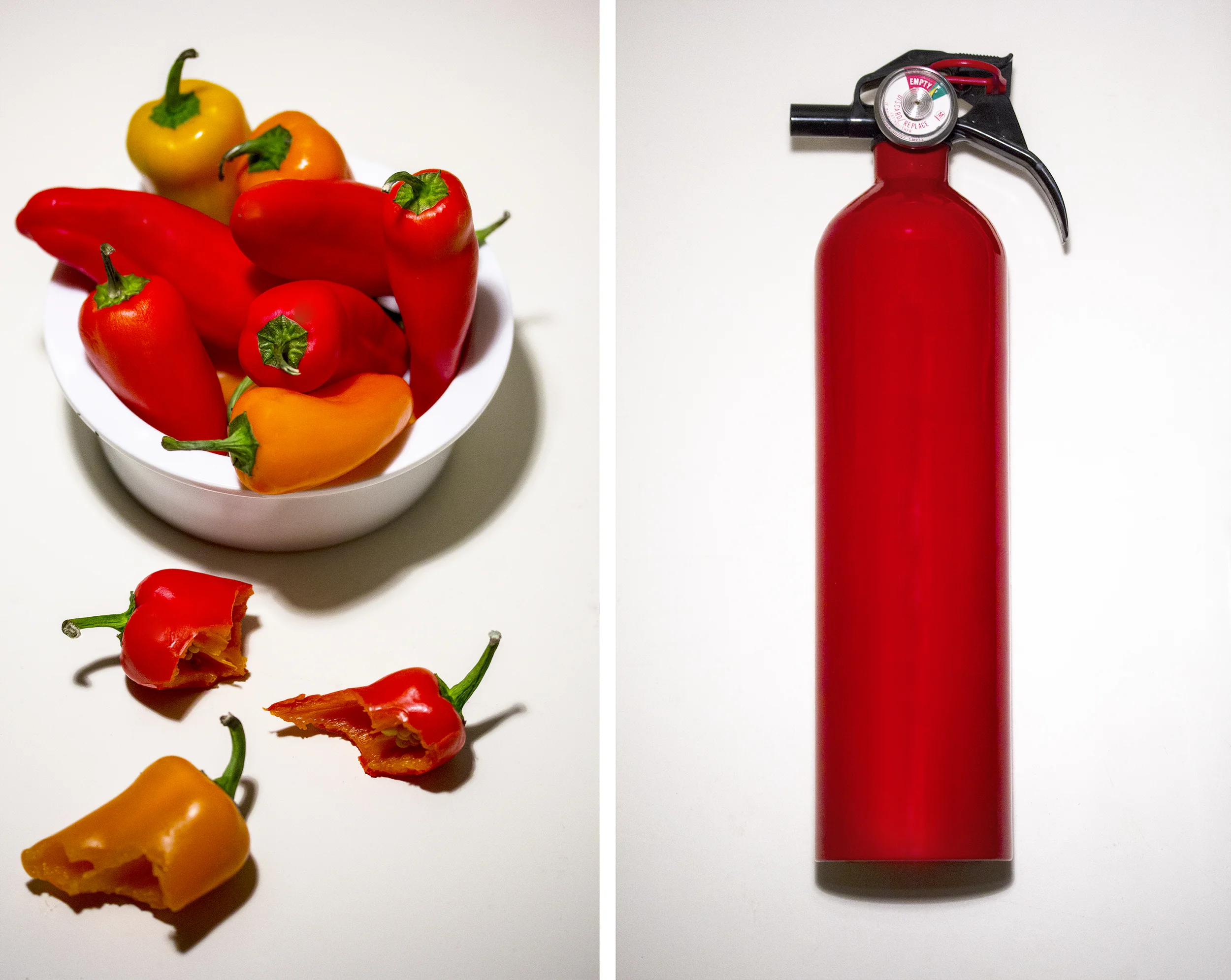 pepper dyptych.jpg
