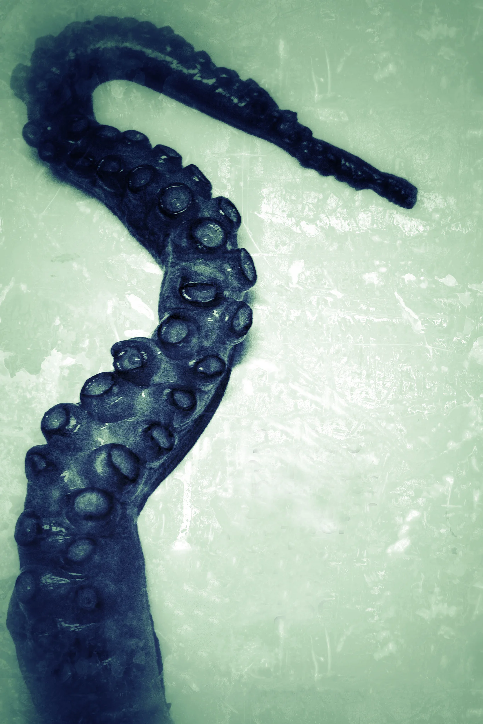 tentacle.jpg