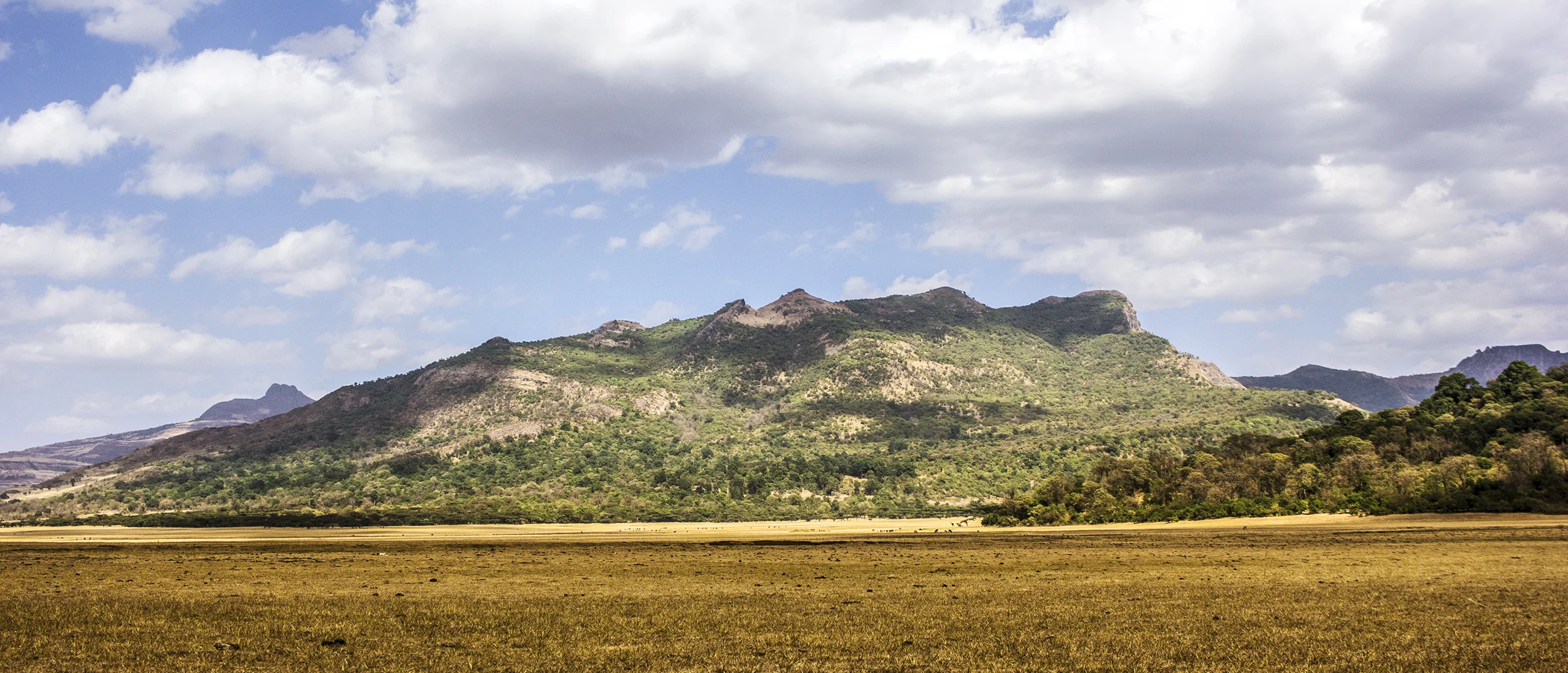 landscape 5.jpg
