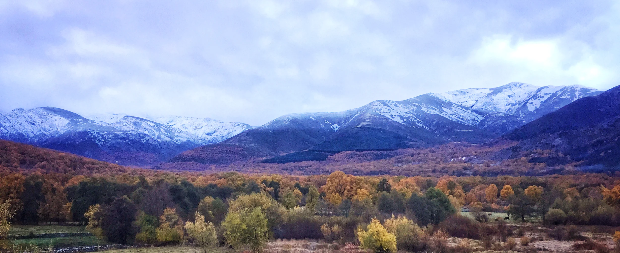 mnts.jpg