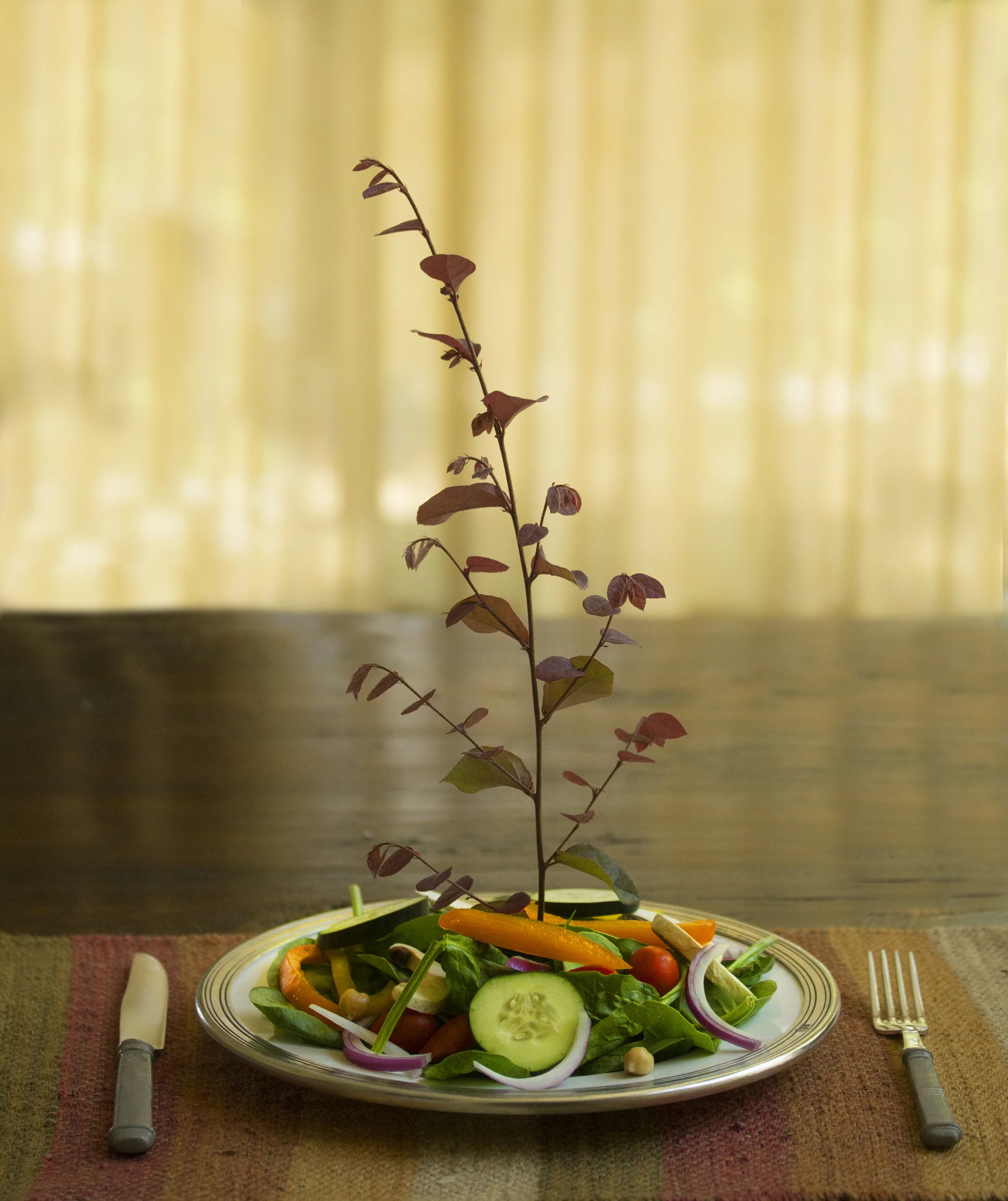 salad.jpg