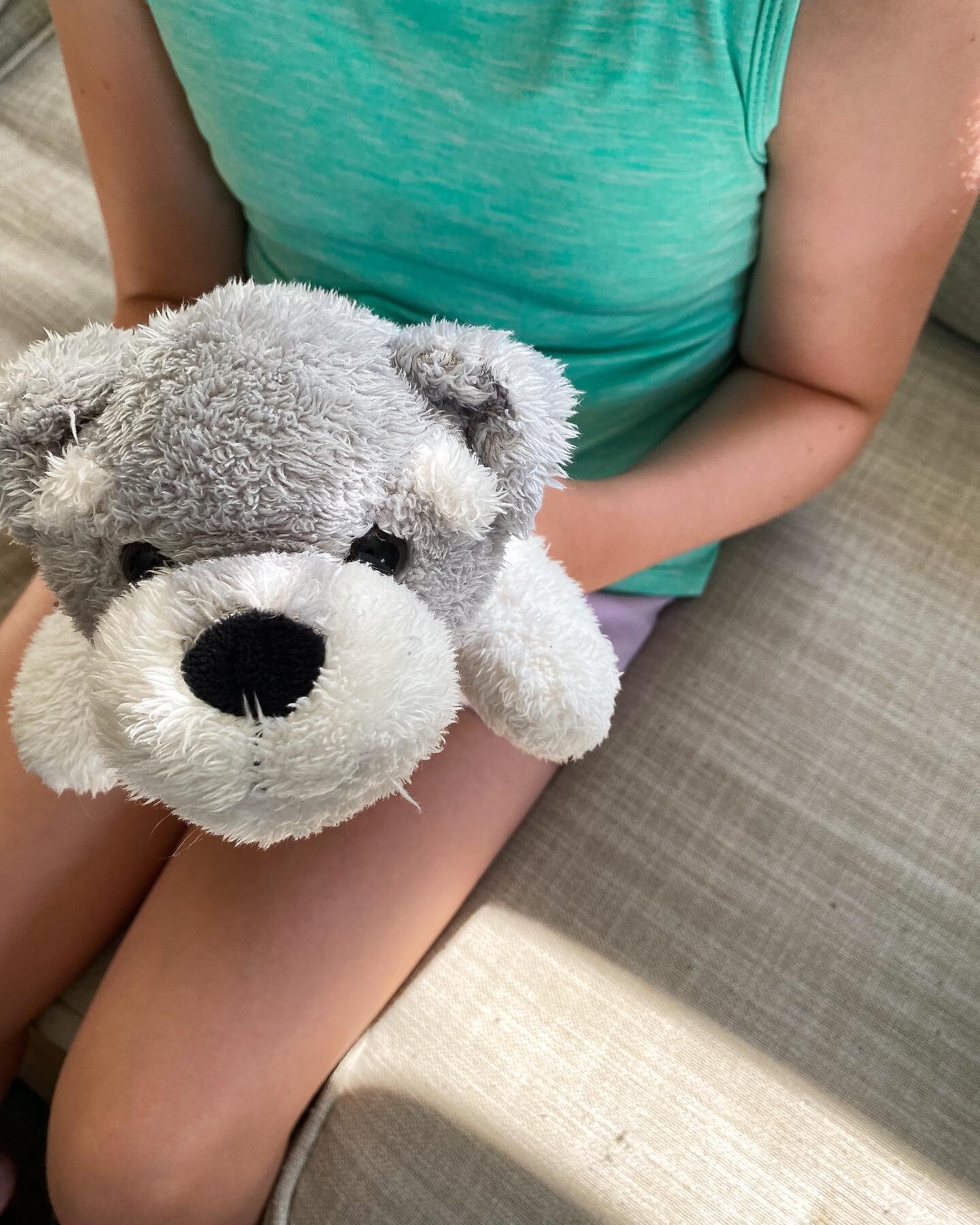 he needs a name // a protector stuffie has joined our family as part of the EMDR support process. unfortunately, he/she does not have a name. Travis and I have offered some amazing suggestions but we were told, &ldquo;I&rsquo;m not naming him after a
