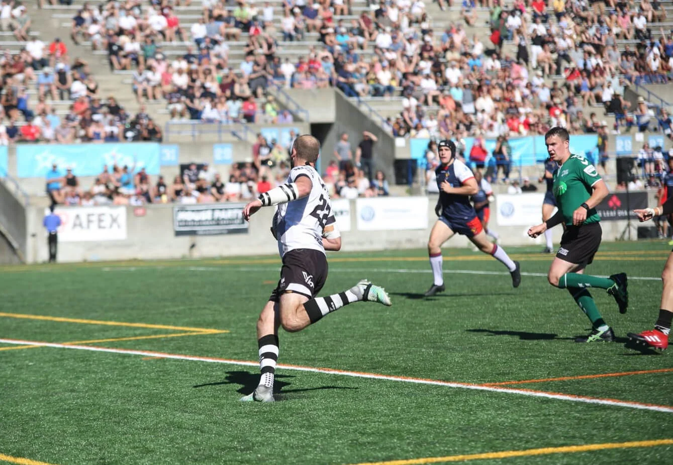 SteveRace Referee