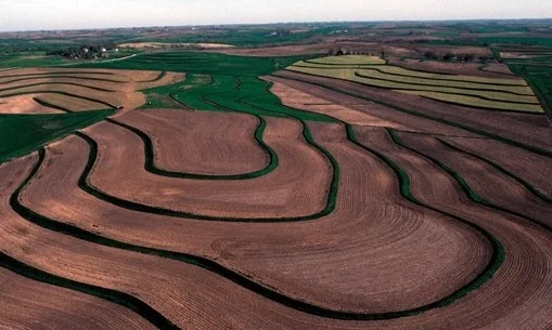 Terraces like this one help prevent nutrient runoff and are a great resource for helping farmers protect water quality.