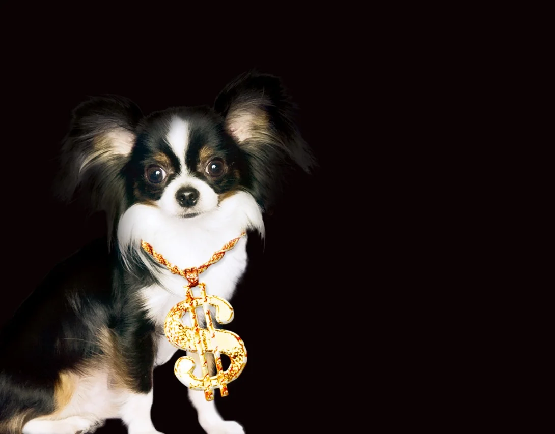 ratesdog.jpg
