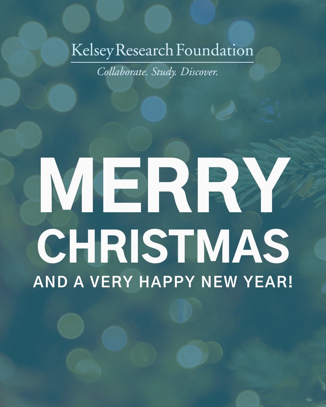 From all of us at the Kelsey Research Foundation, Merry Christmas and Happy New Year! 🎄✨

Thank you to our community, partners, and clinical trial participants for your continued support and dedication. Wishing you a season filled with joy, health, 