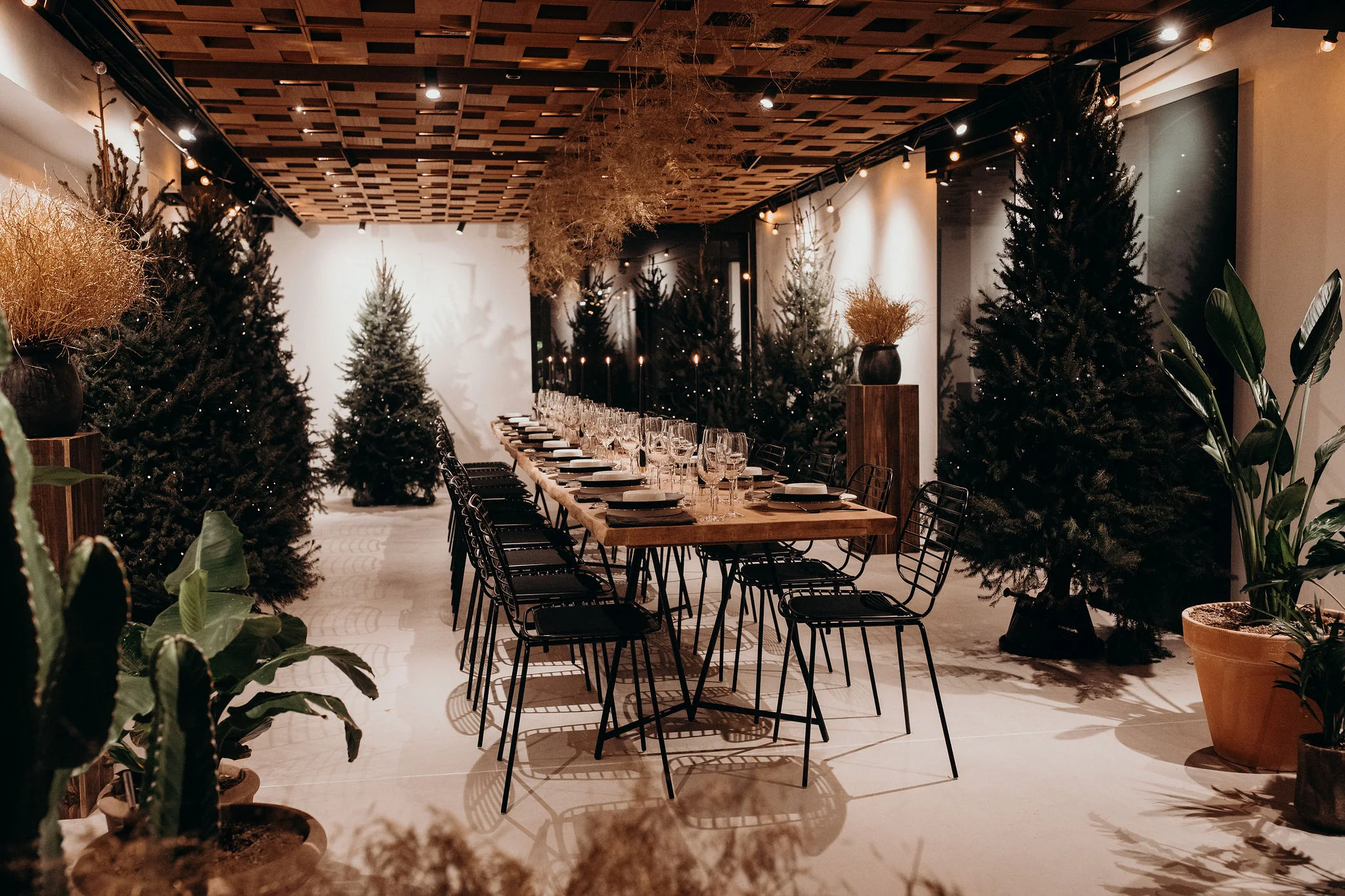 kerstdinerhamlet-18.jpg