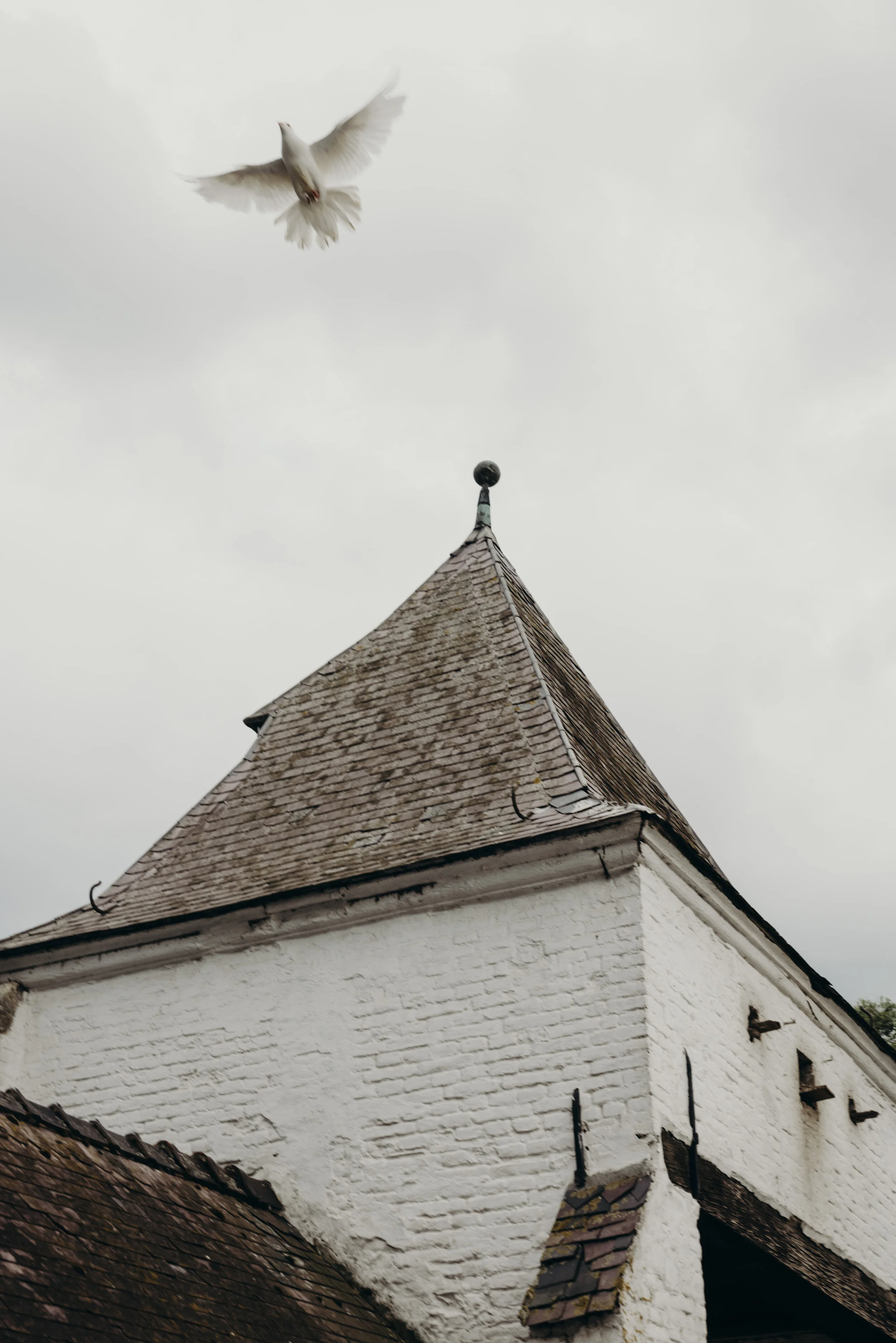 felixboniface_simonannabel_075.jpg