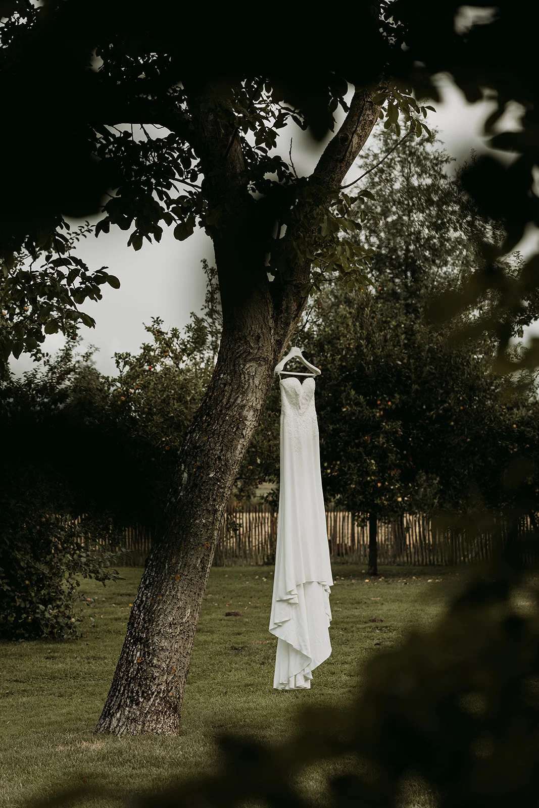 Free___Fernanda_003.jpg