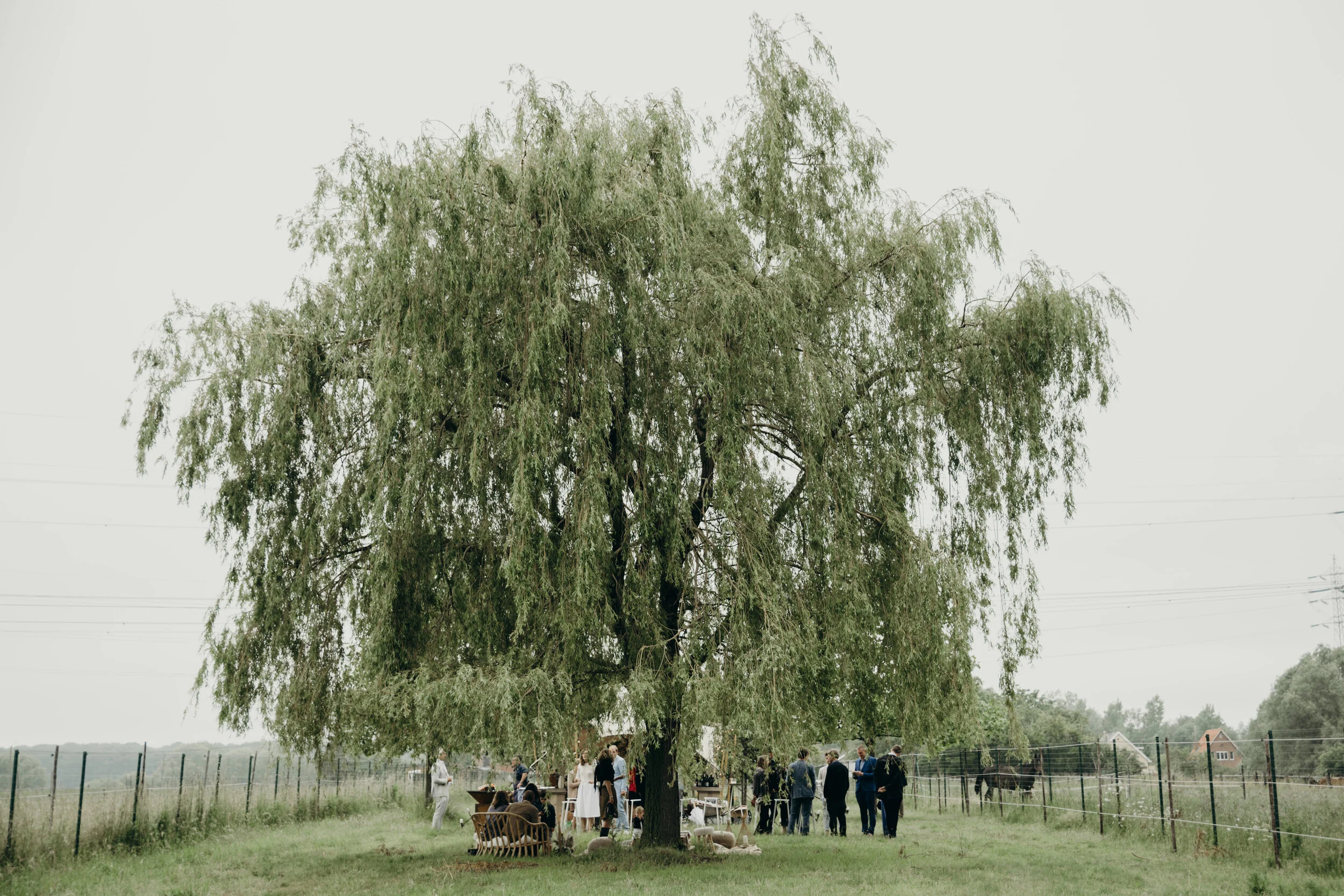 felixboniface_margotxjens_06152019237243.jpg