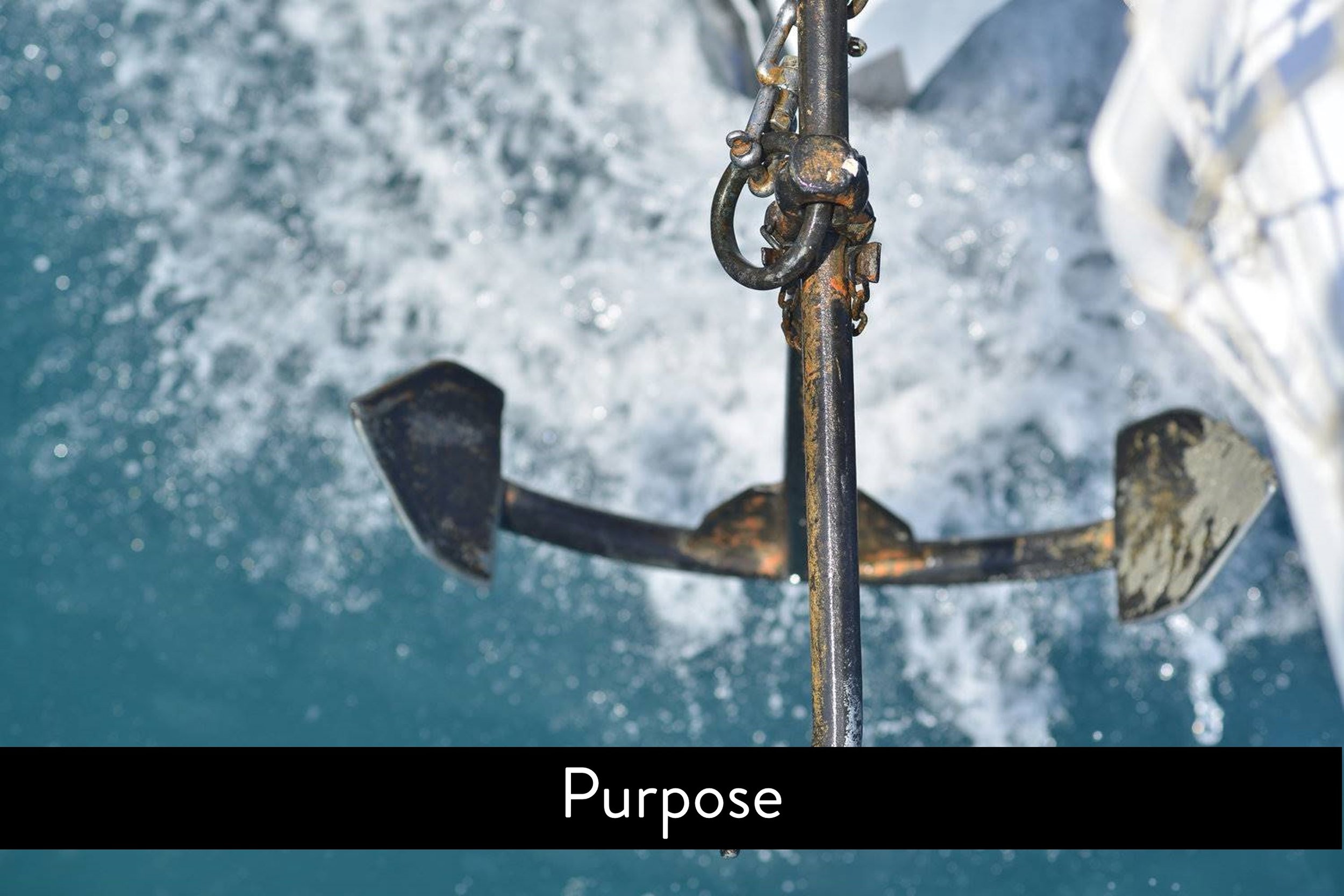 VCG--anchor--Purpose.jpg