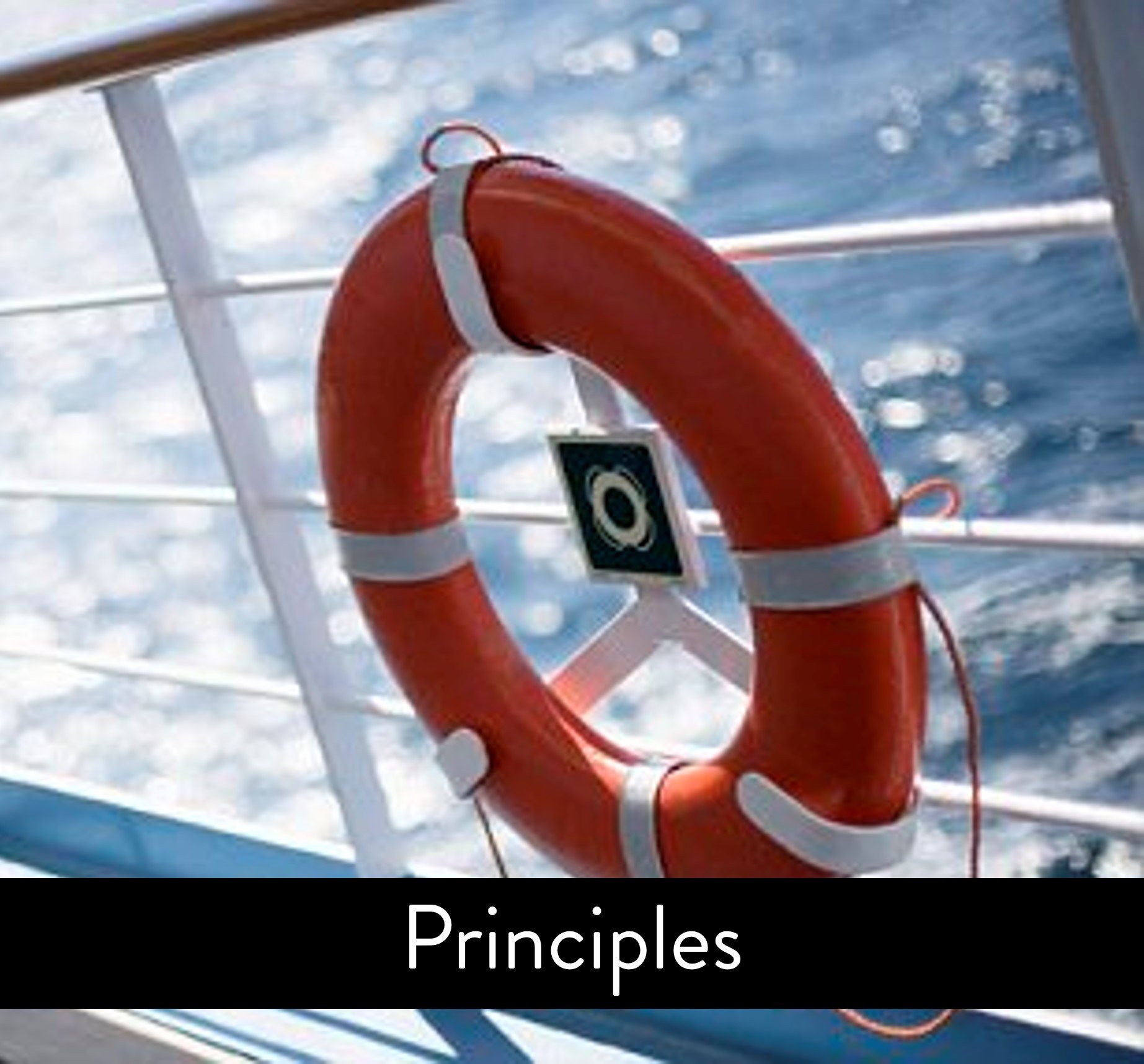 VCG--raft--Principles-v3.jpg