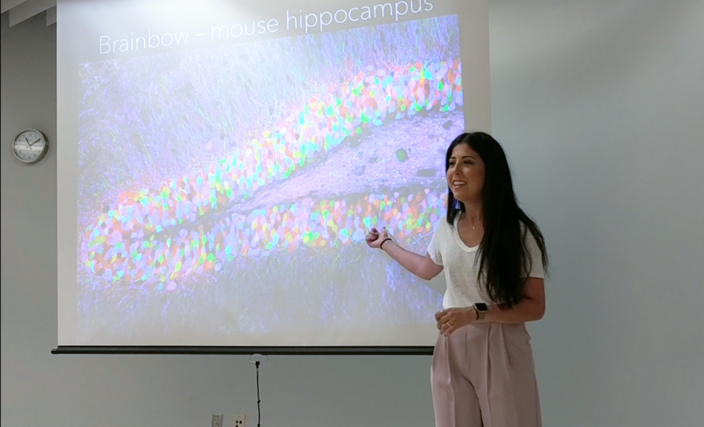Highschool neuroscience talk for Visions of Science students