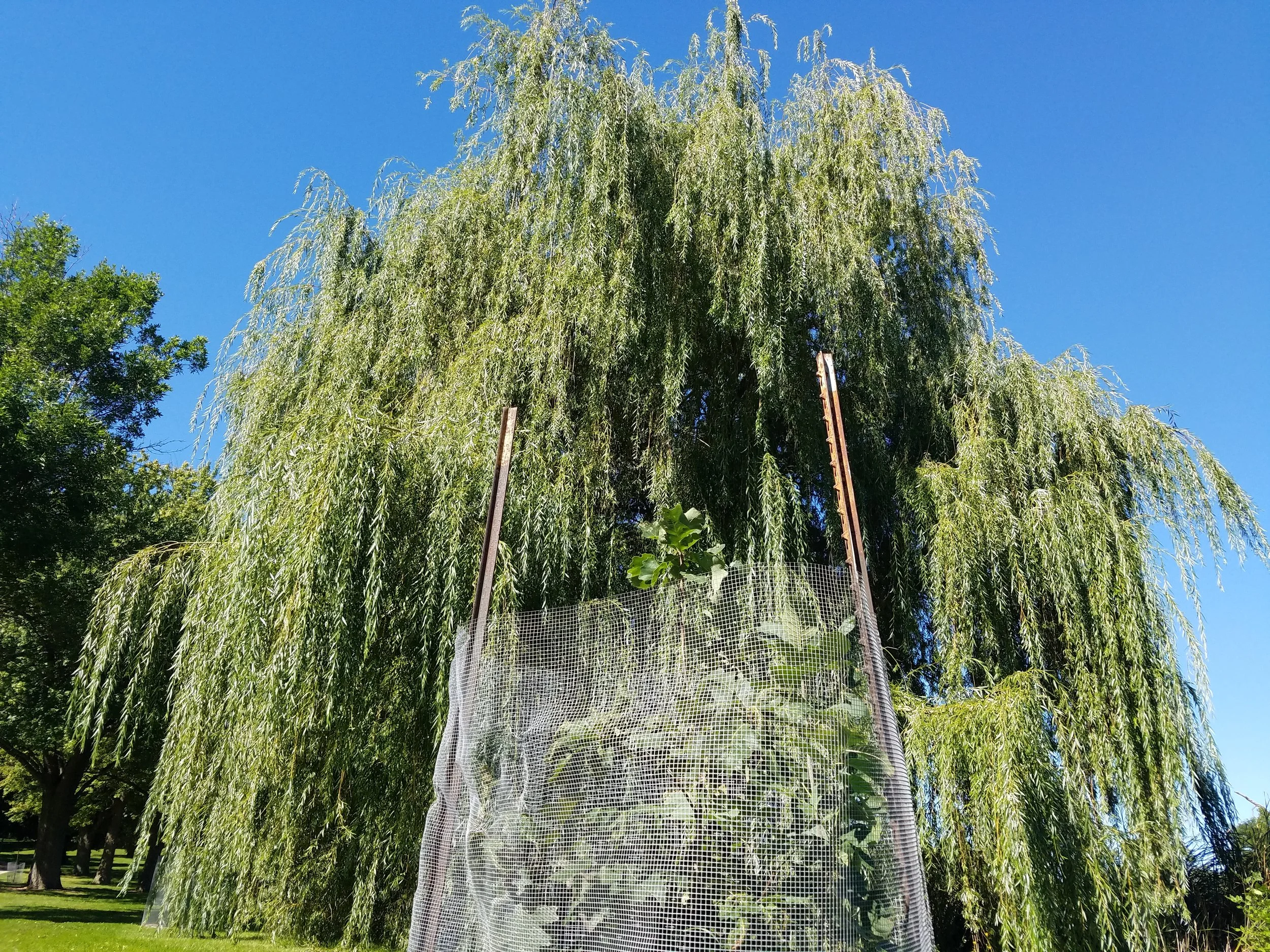 Washington Park