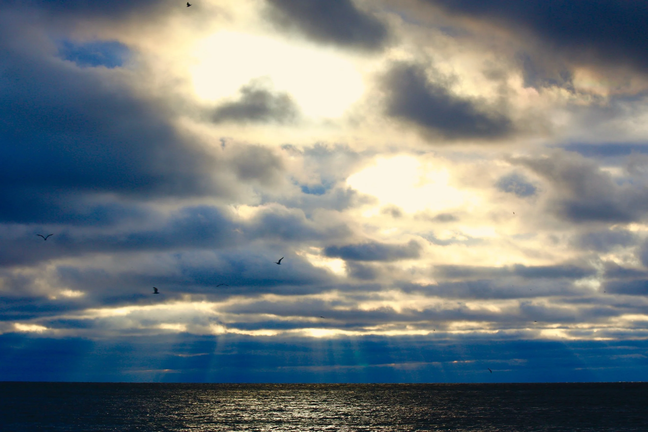 © Scott Margelofsky