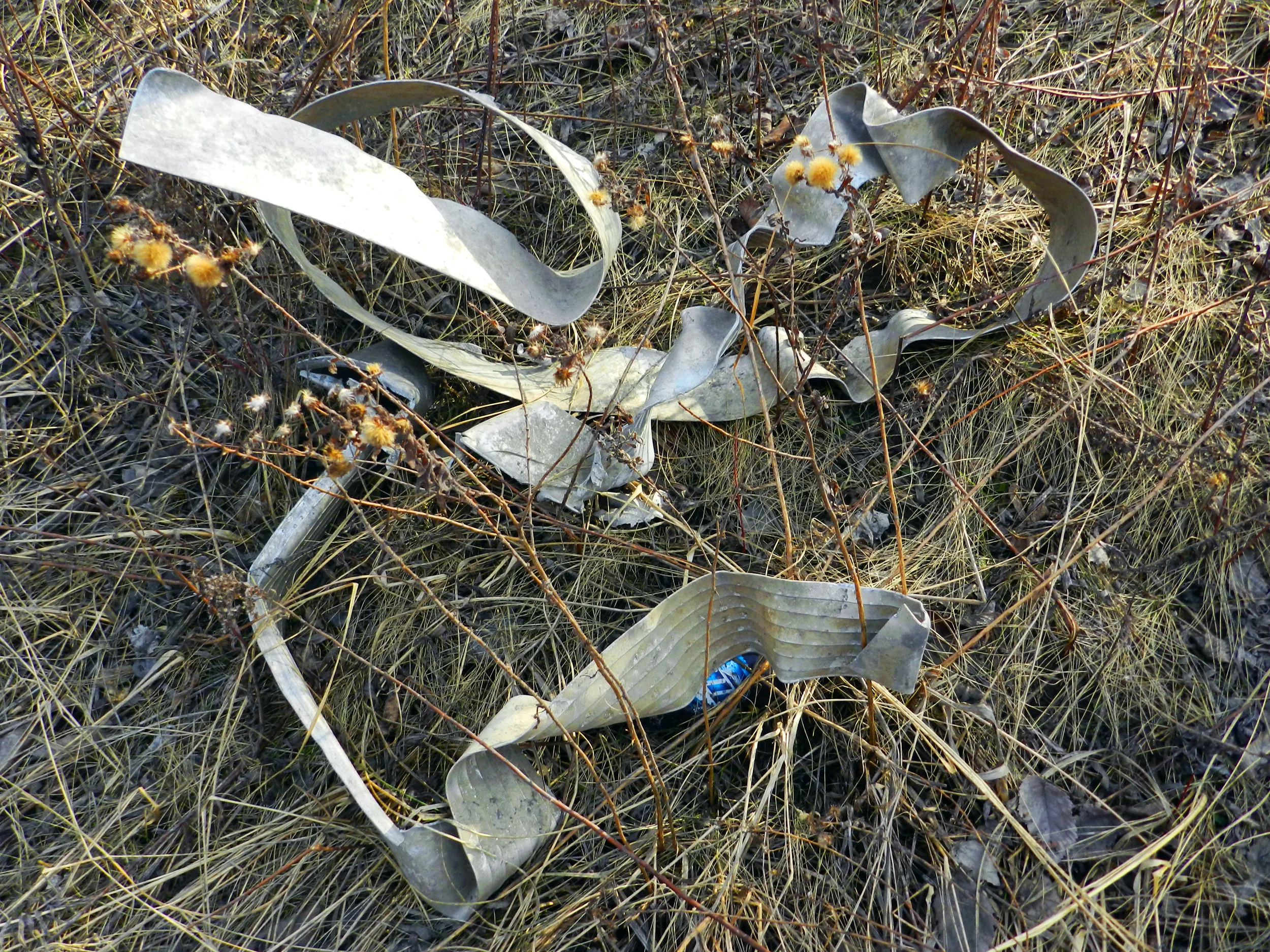 DSCN0721.JPG