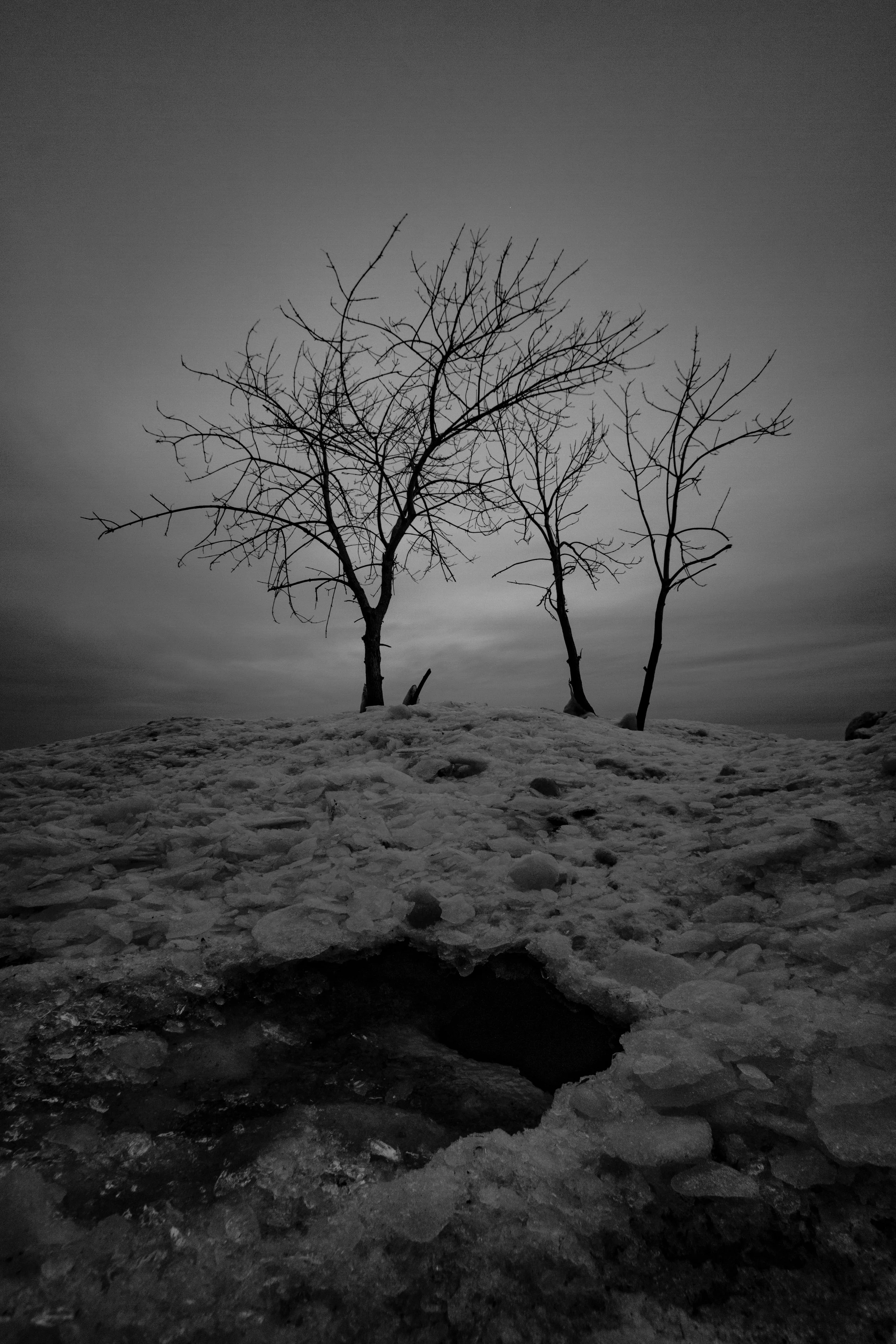 by Tyler Yomantas