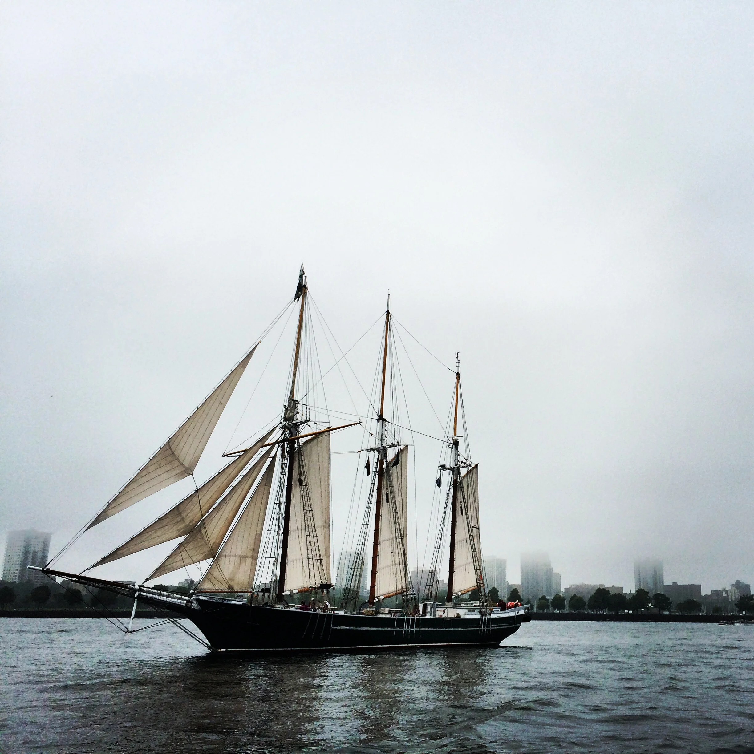  by Sarah Dwyer-Olson   