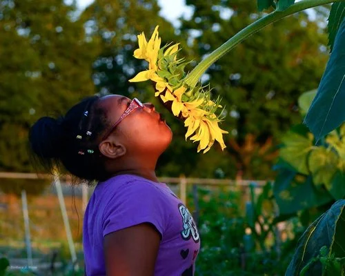 PHOTOGRAPHIC INSPIRATION: Barbara J. Miner | 53205