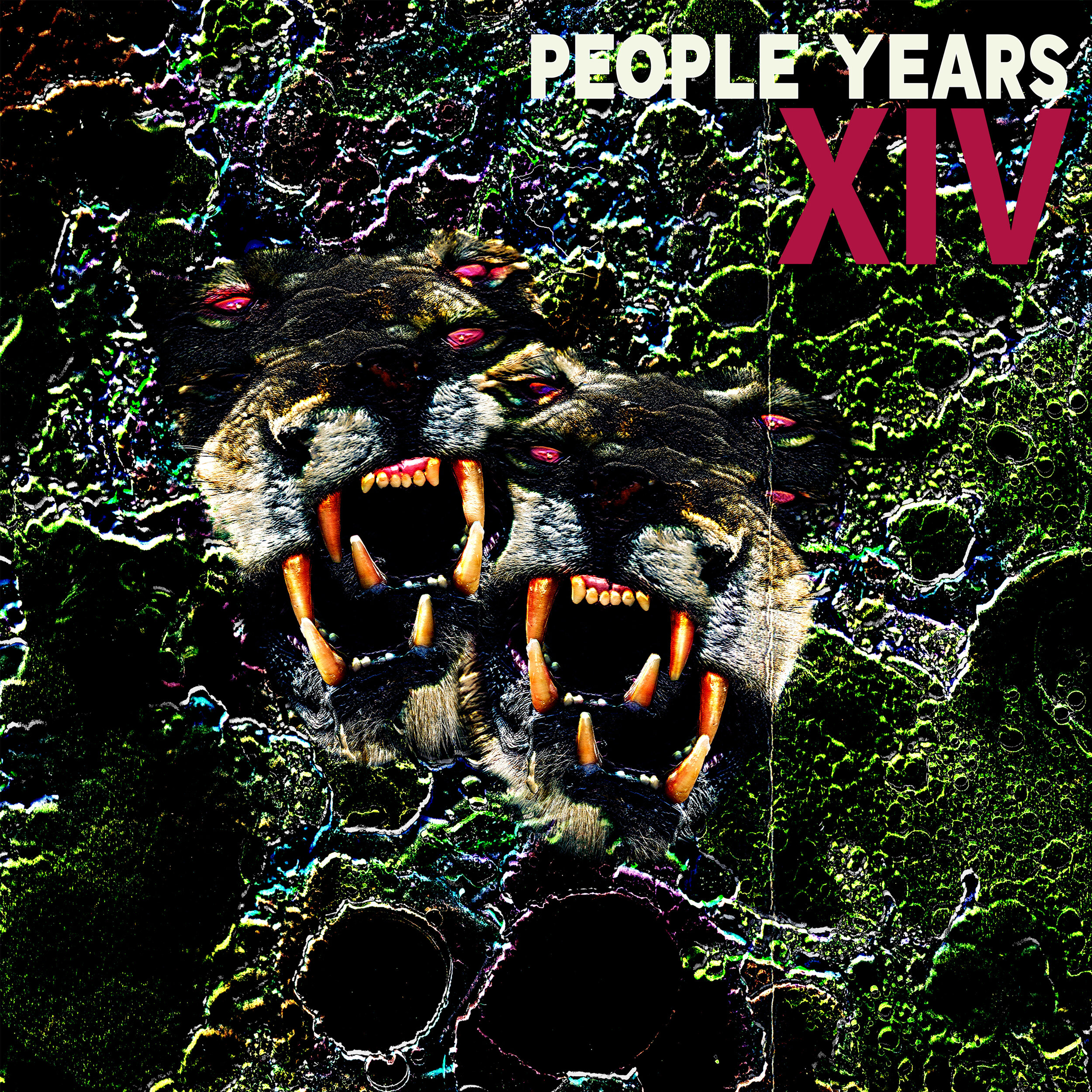 Album Cover_people years_XIV.jpg