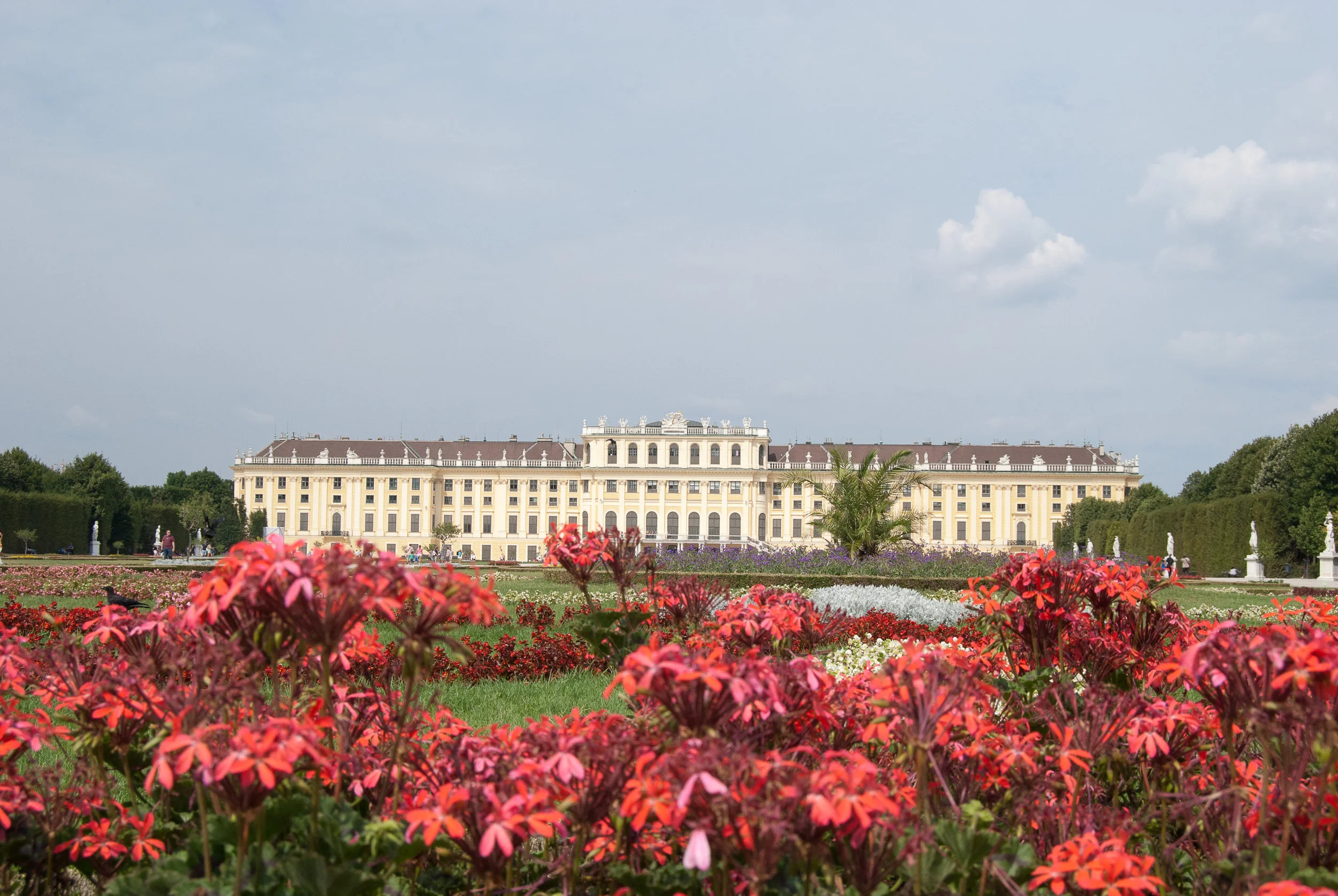 Vienna 8-2013 PRINT-0262.jpg