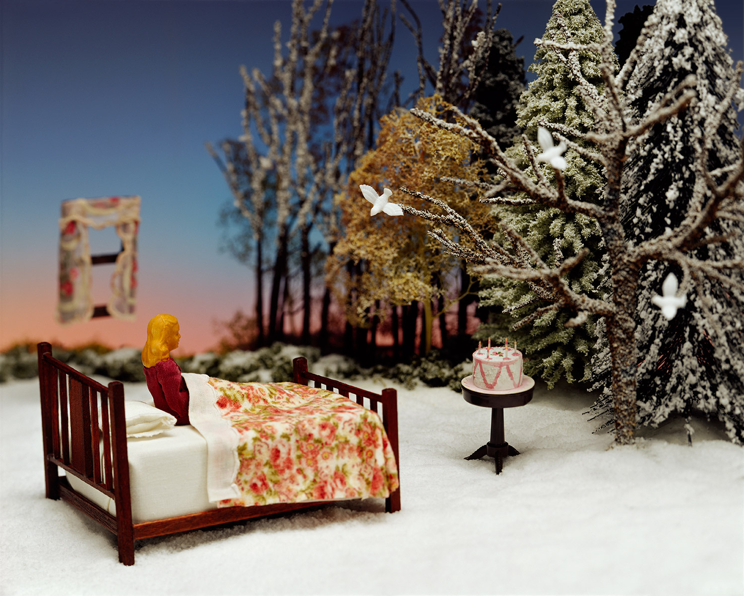 Winter Wish, Winter Dream