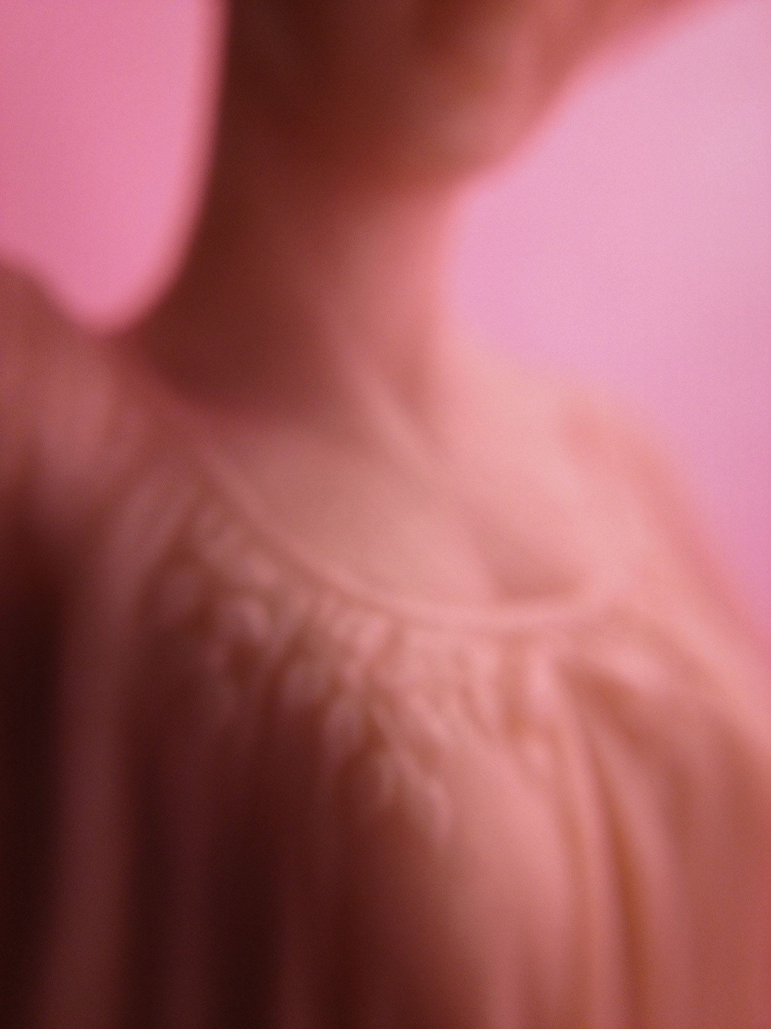 Confidante