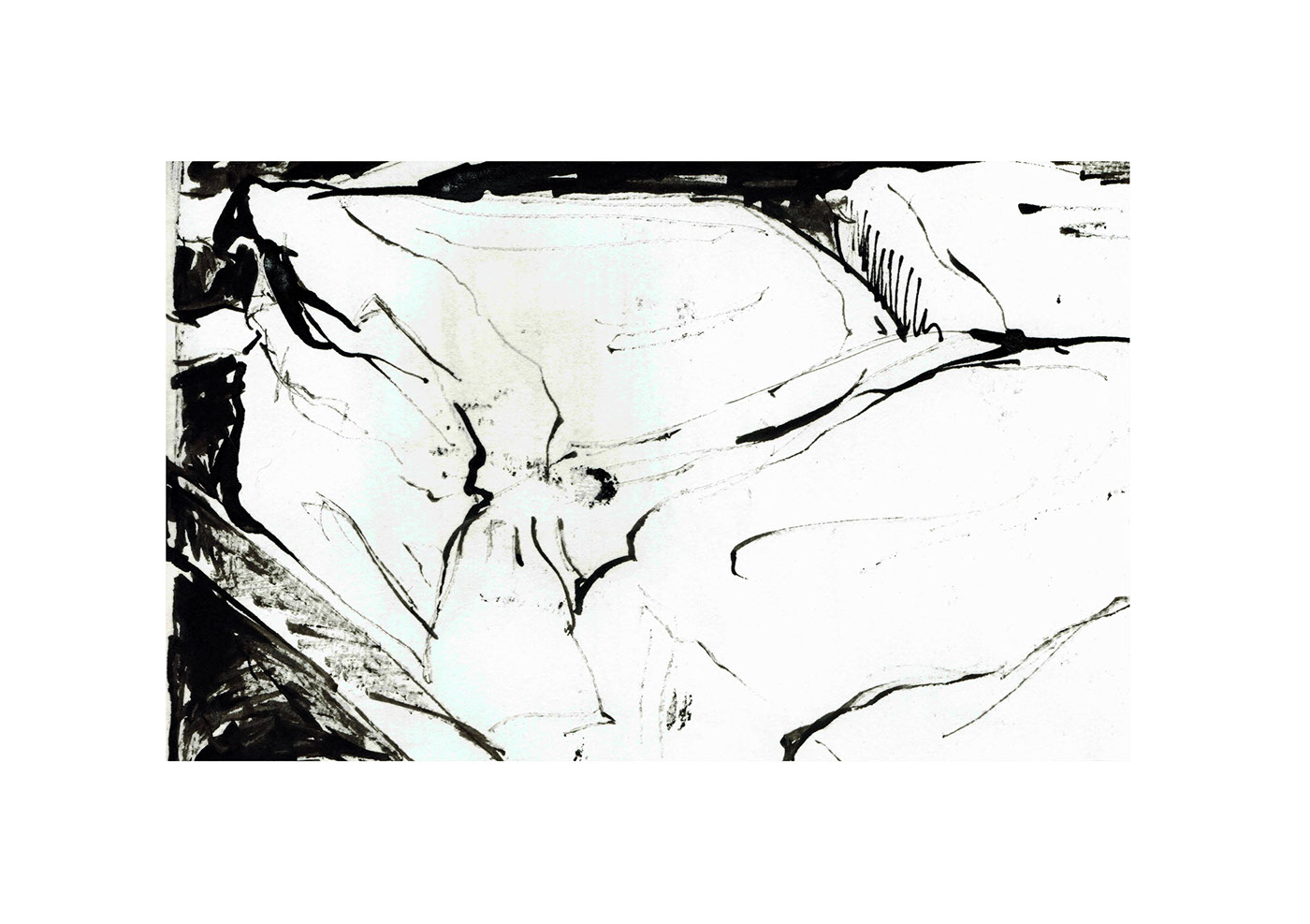 a0ab3427138261.5636049ec09e3.jpg